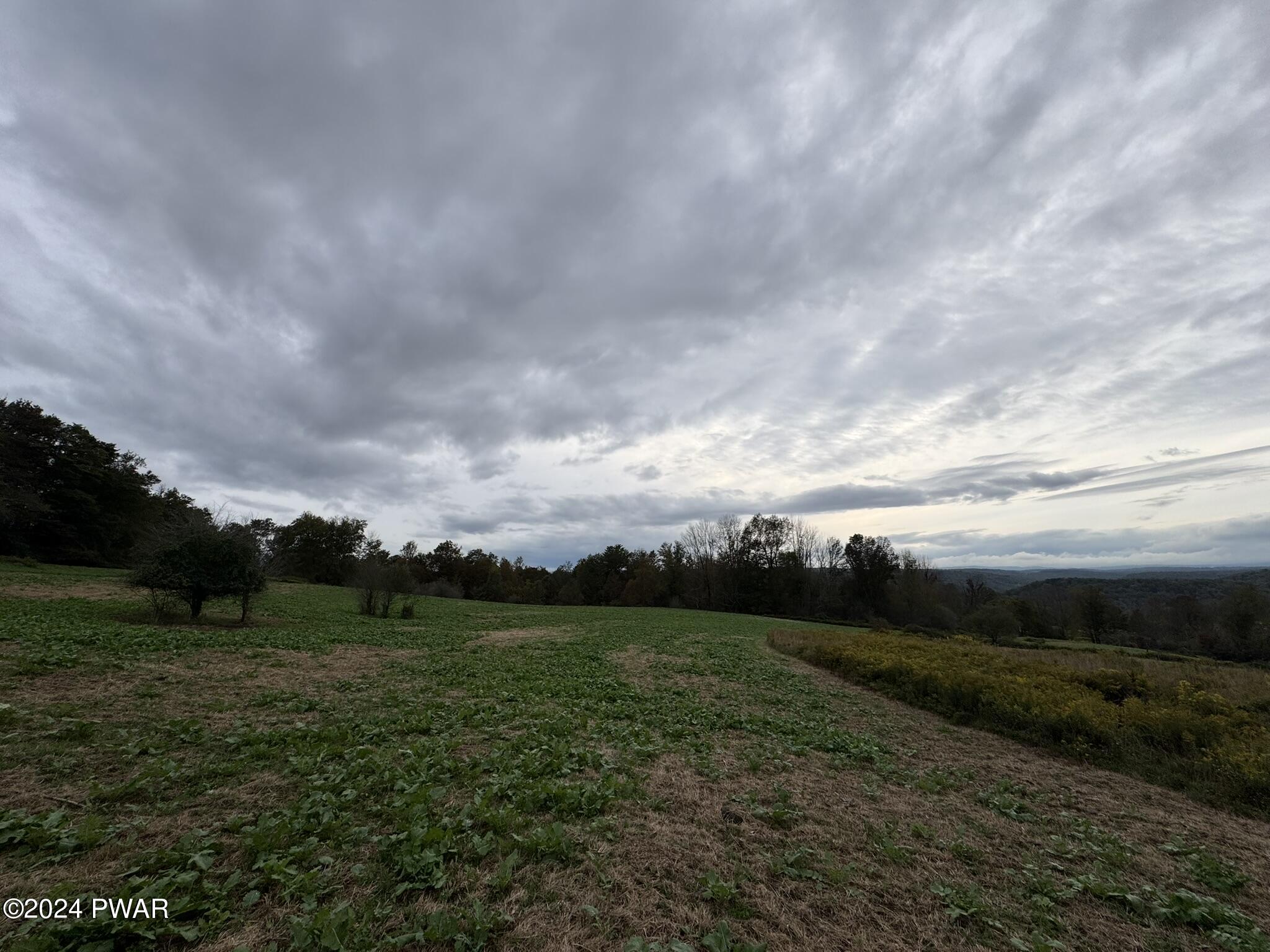 50 Acres Bryn Mawr Road, Honesdale, Pennsylvania image 8