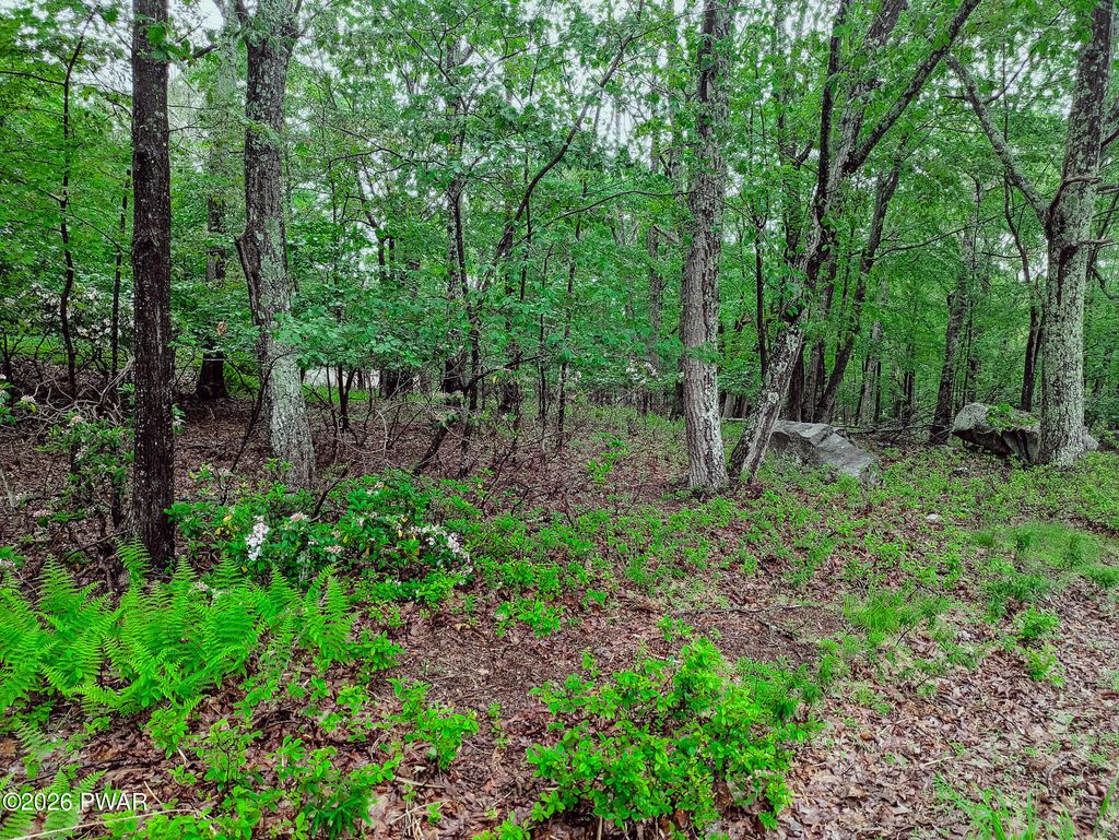 Photo of 102 Rodney Road, Milford, PA 18337 (MLS # PW260780)