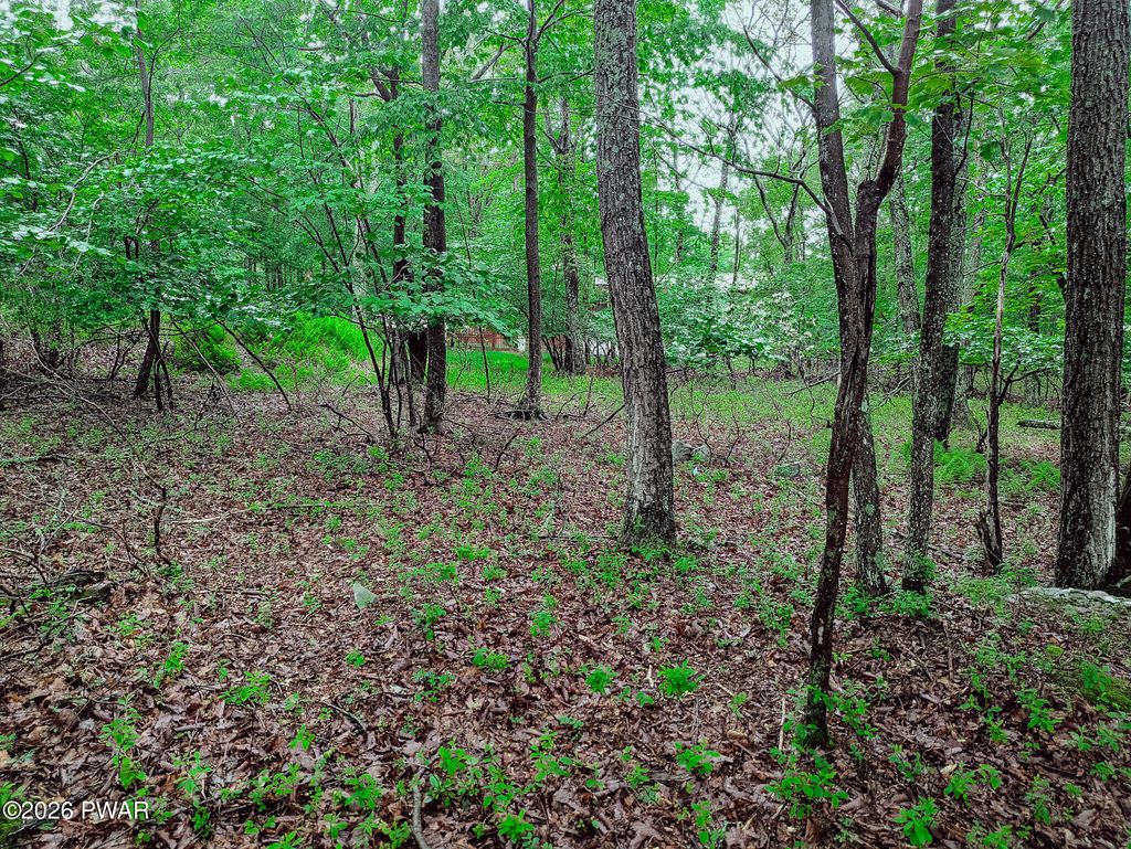 Photo of 102 Rodney Road, Milford, PA 18337 (MLS # PW260780)