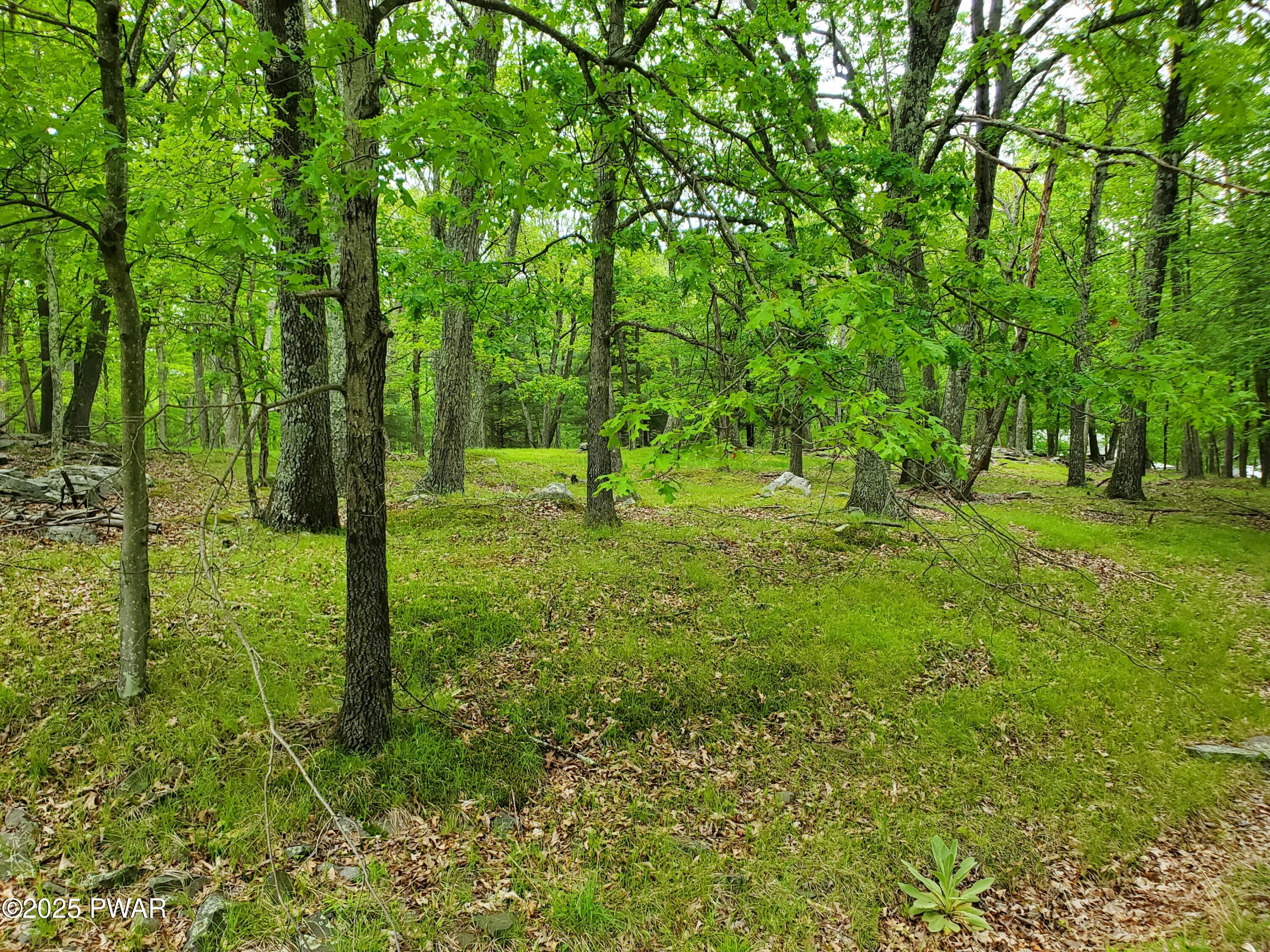 139 Forest View Drive, Hawley, Pennsylvania image 4