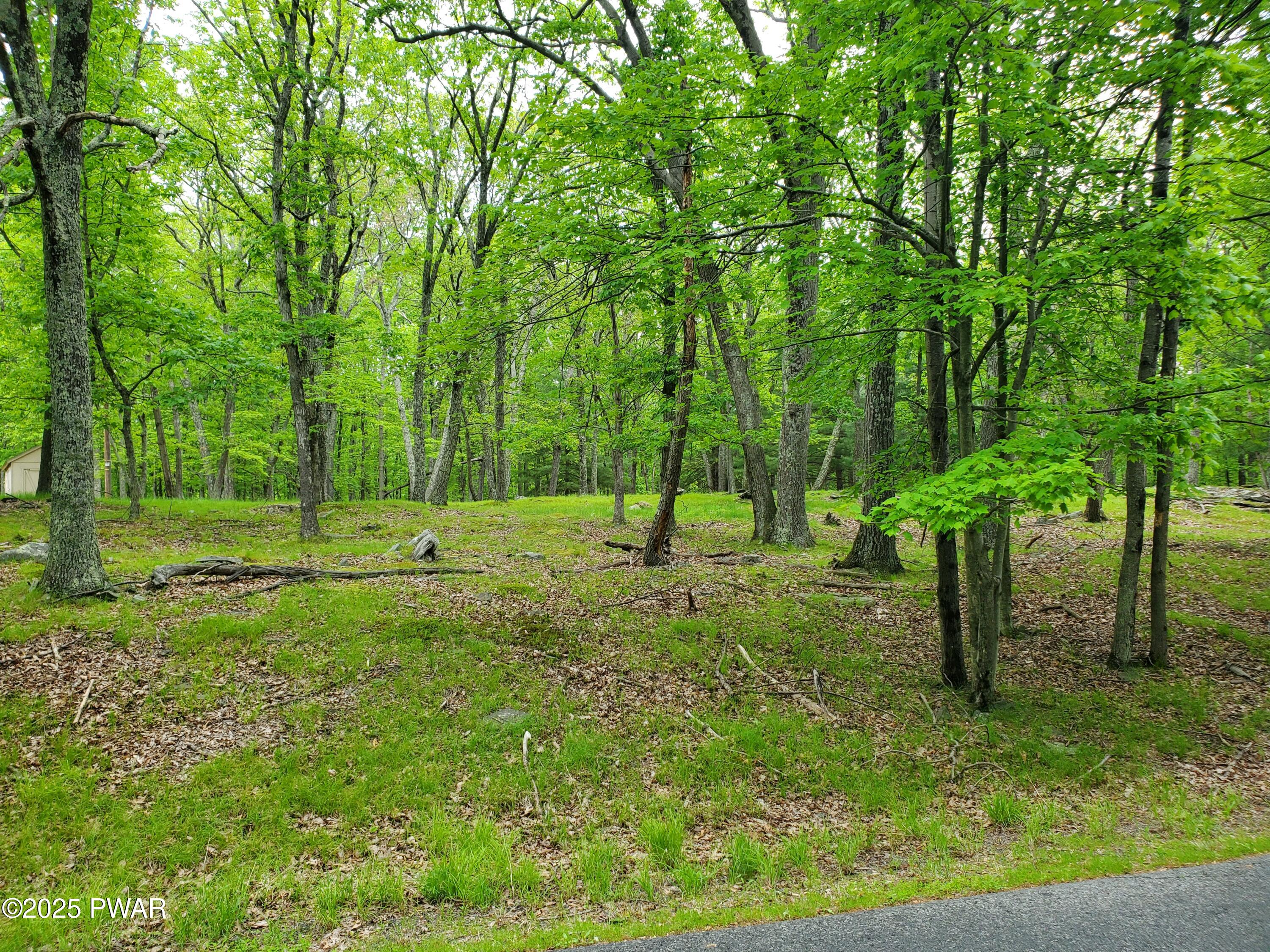 139 Forest View Drive, Hawley, Pennsylvania image 5