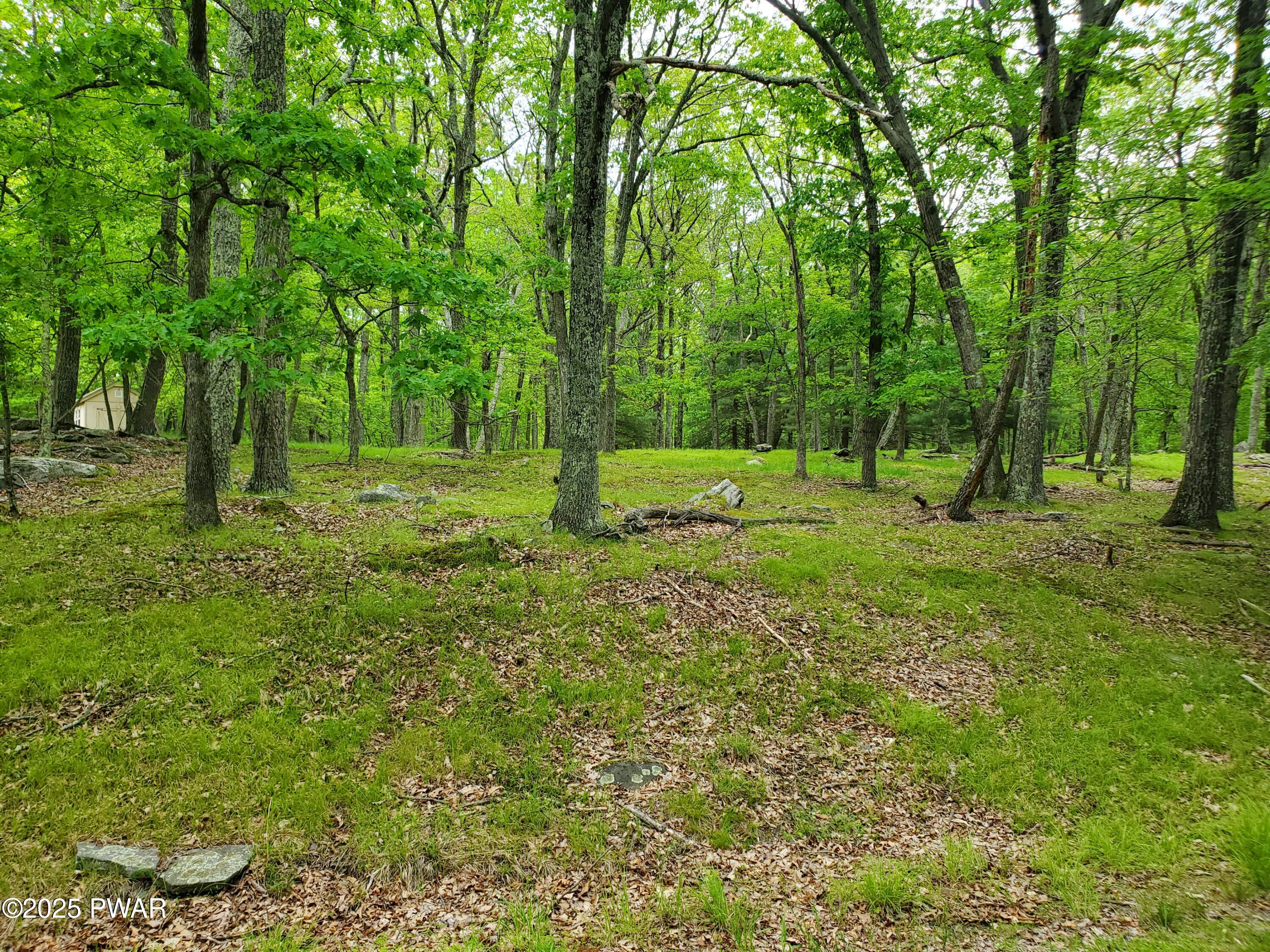 139 Forest View Drive, Hawley, Pennsylvania image 2