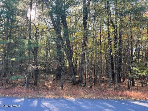 Vacant Land For Sale - LOT 40 Lake Forest Drive<br/> Dingmans Ferry, PA 18328