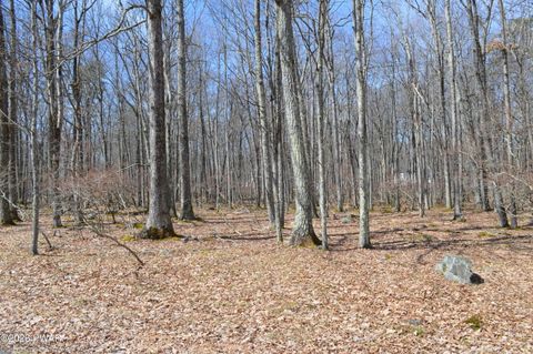 Vacant Land For Sale - LOT 23R Forest Court<br/> Pike County, Hawley, PA 18428