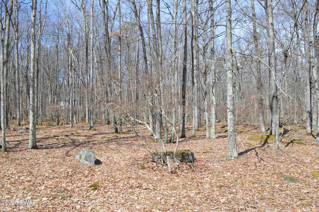 Photo of 23 Forest Court, Hawley, PA 18428 (MLS # PW260719)