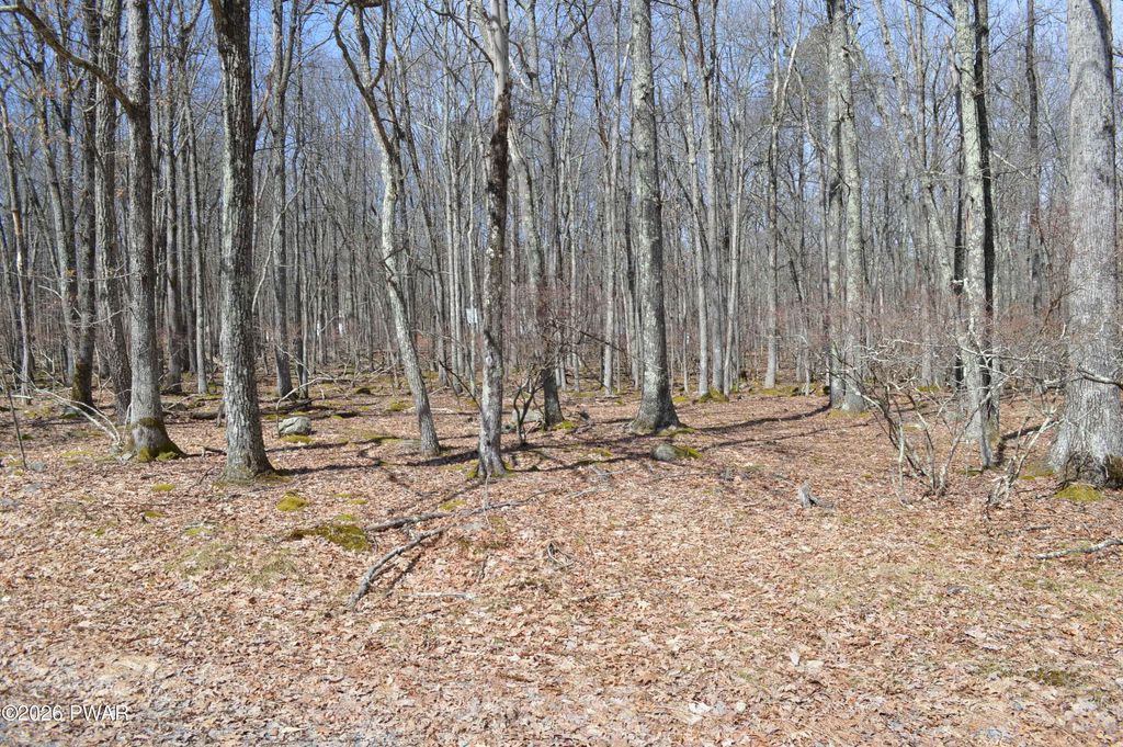 Photo of 23 Forest Court, Hawley, PA 18428 (MLS # PW260719)