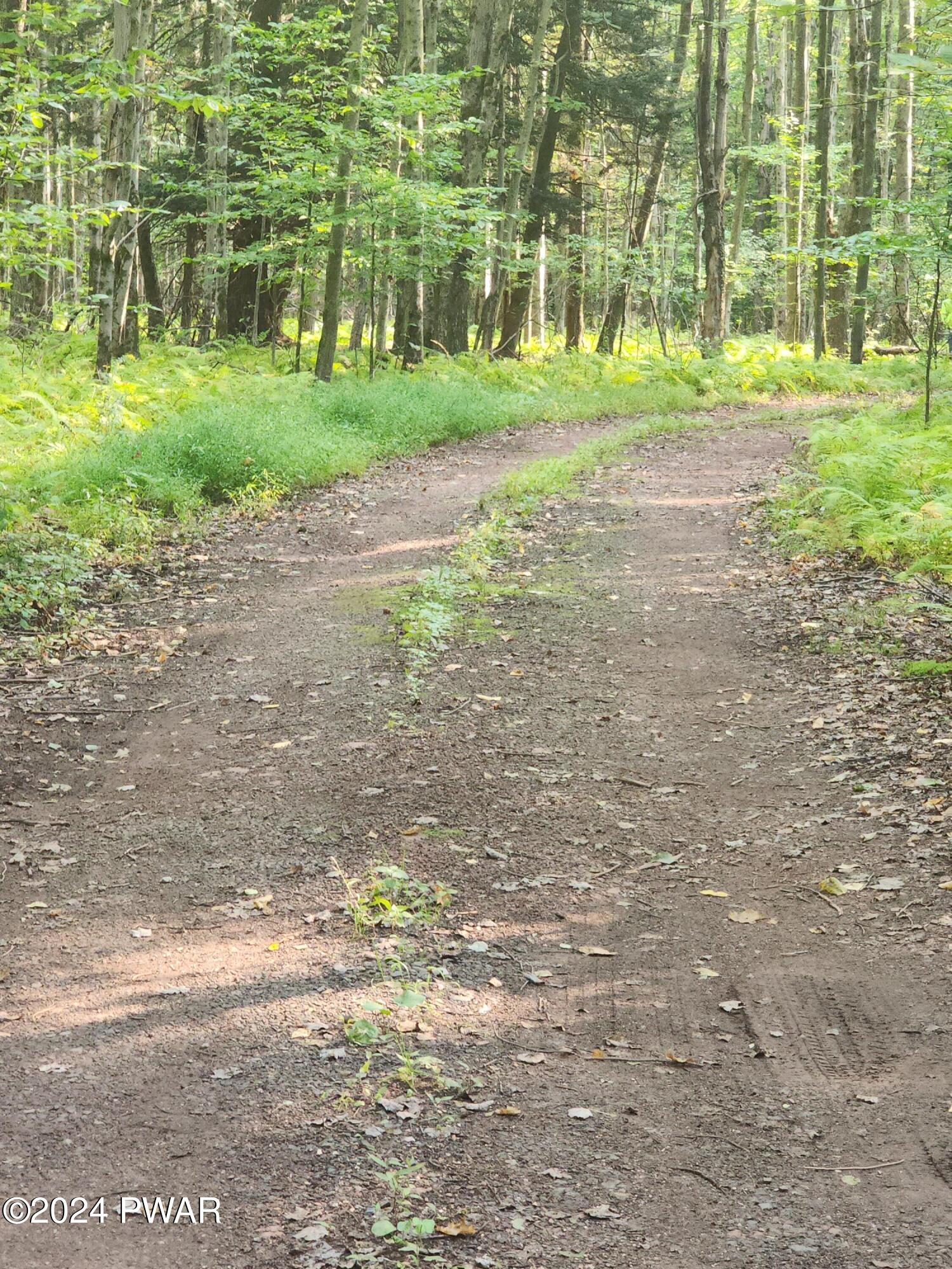 3.31 Acres Leba Lane, Honesdale, Pennsylvania image 2