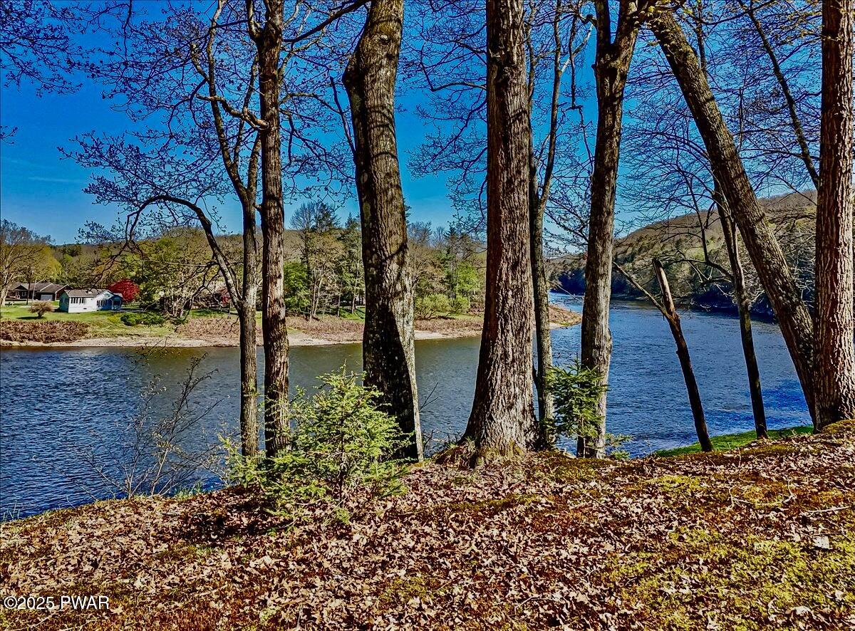 564A Peggy Runway Road, Beach Lake, Pennsylvania image 7