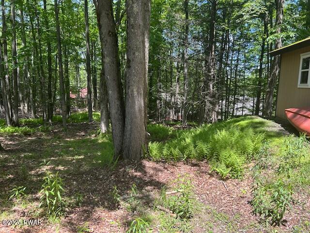 94 Cedarwood Terrace, Lake Ariel, Pennsylvania image 19