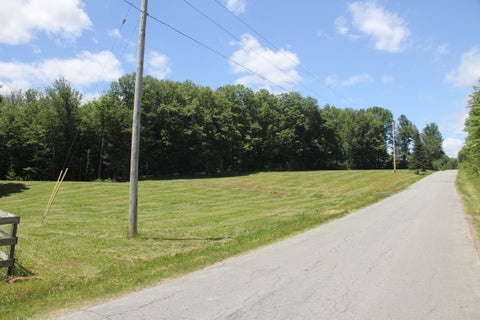 Vacant Land For Sale - Old Danzer Road<br/> Livingston Manor, NY, NY 