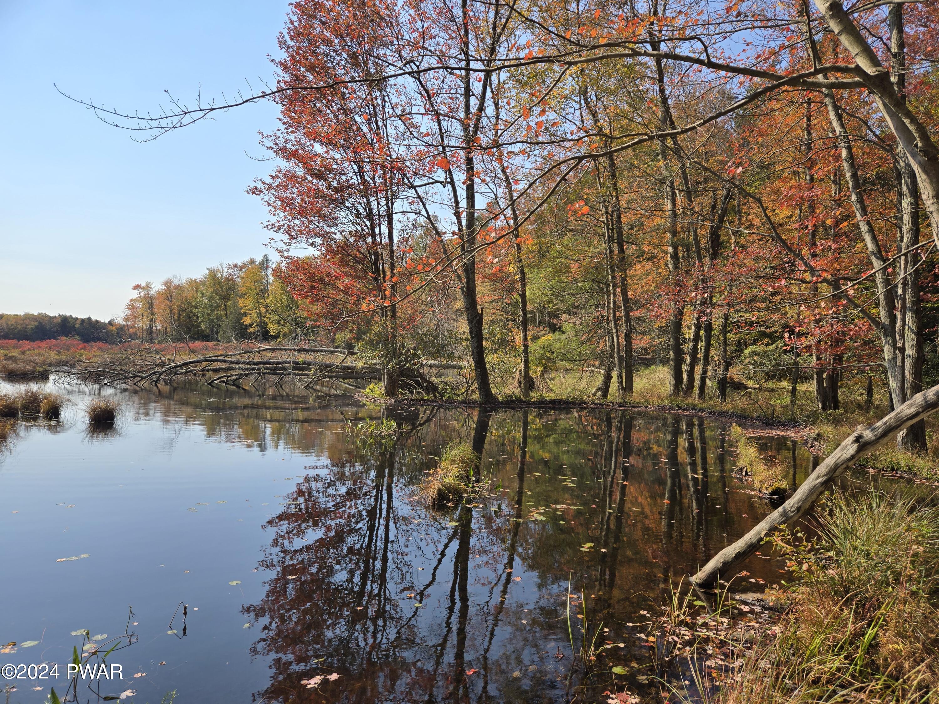 Wallace Road, Lake Ariel, Pennsylvania image 4