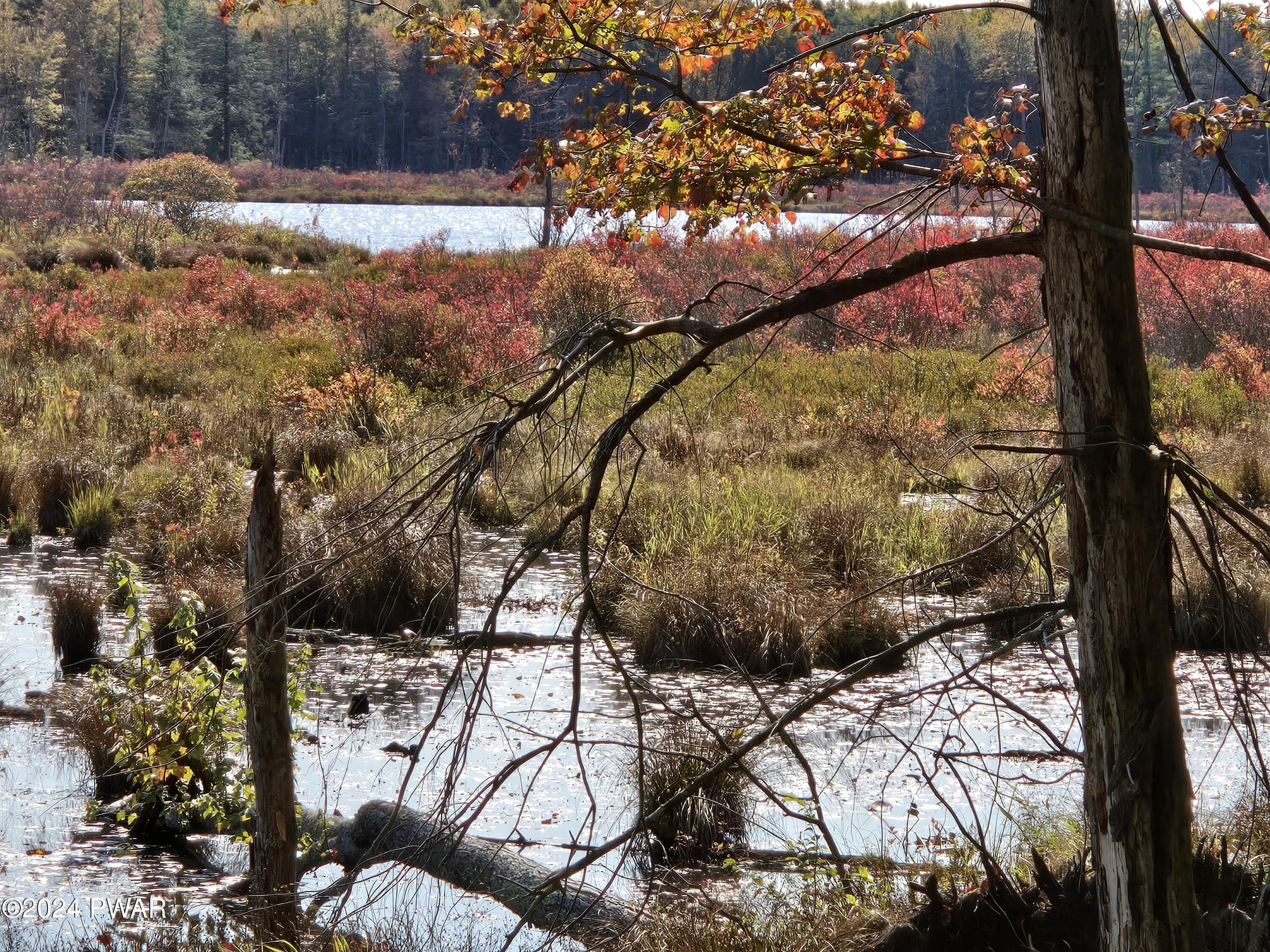 Wallace Road, Lake Ariel, Pennsylvania image 14