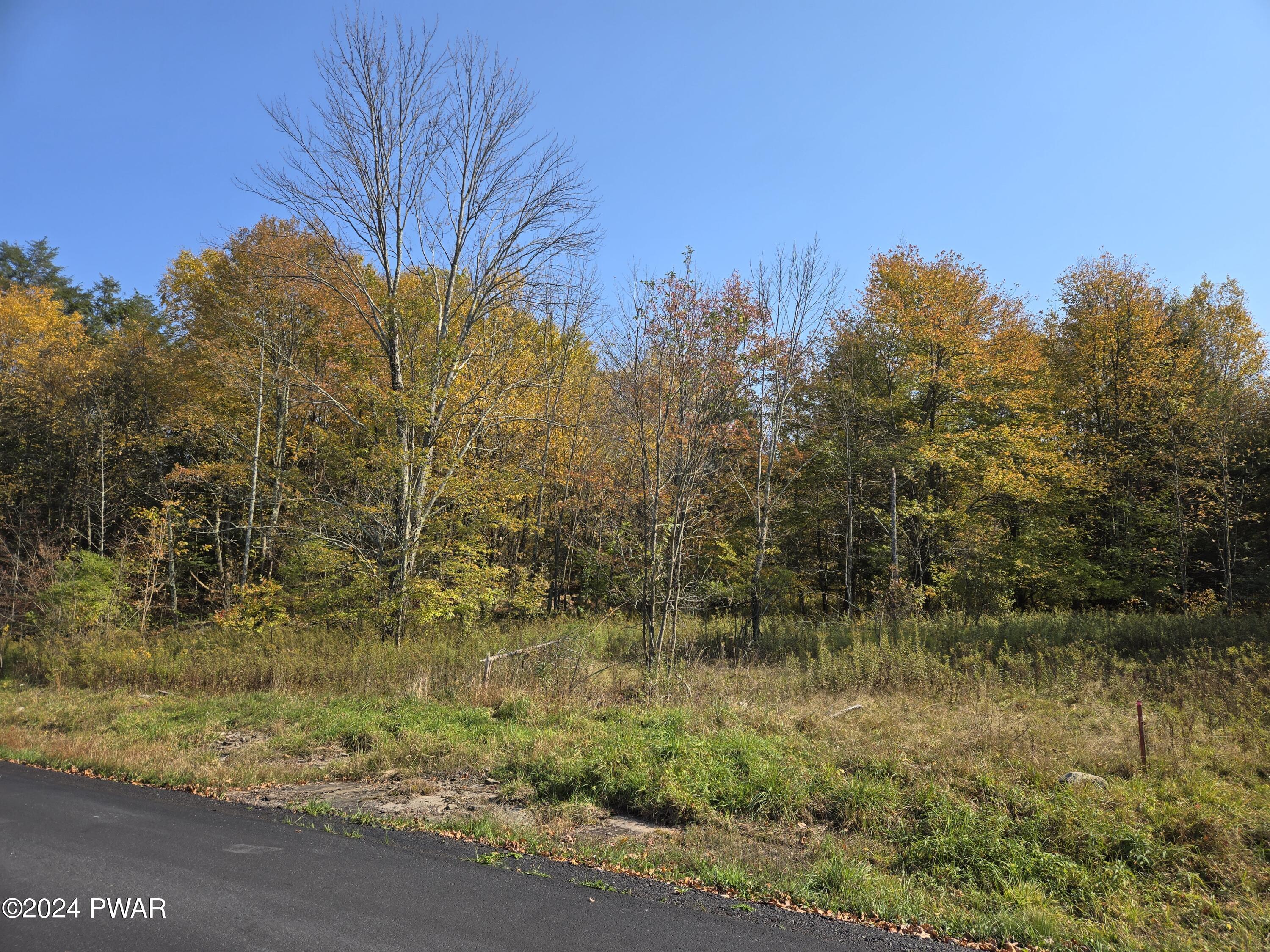 Wallace Road, Lake Ariel, Pennsylvania image 5