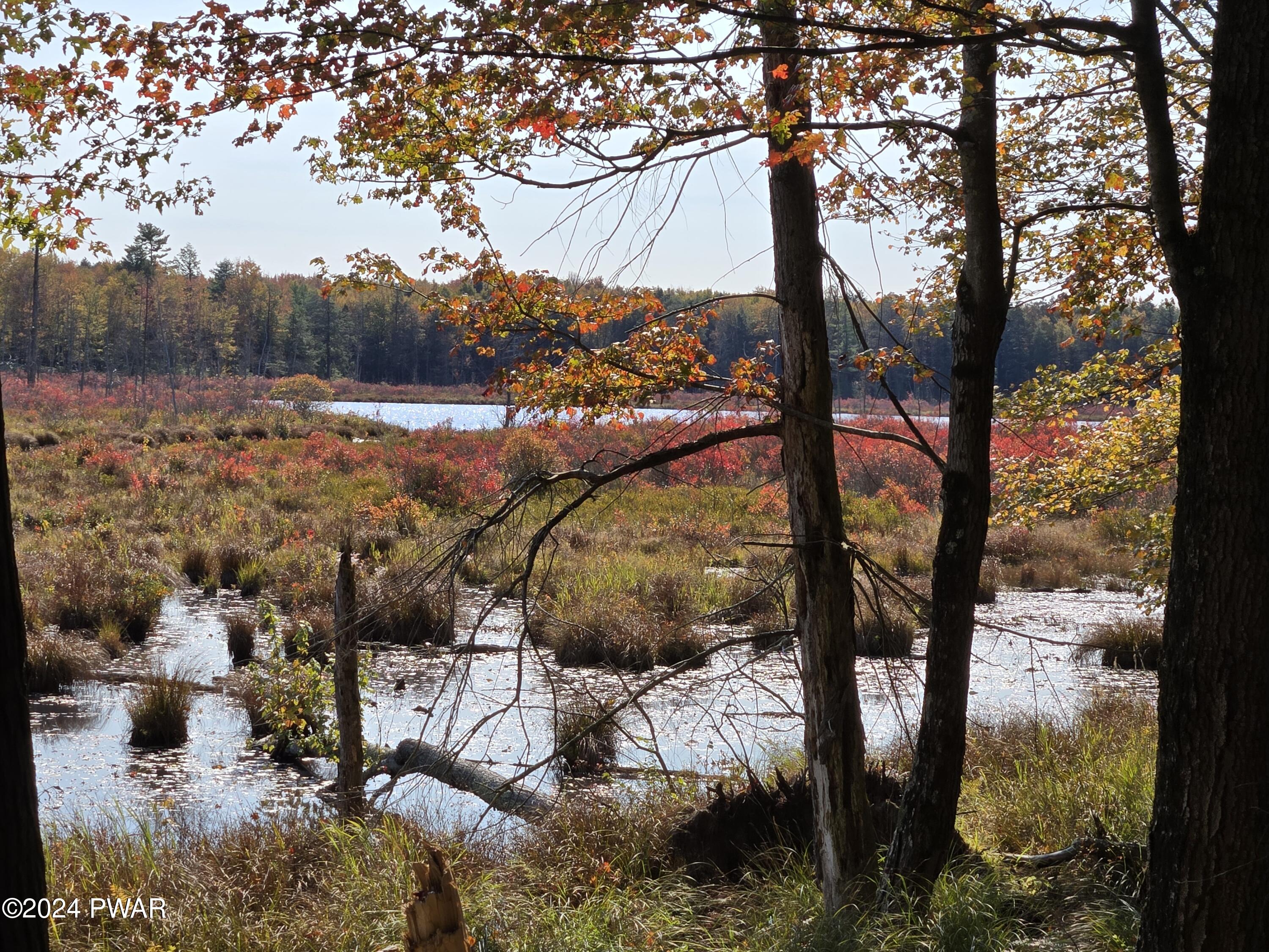 Wallace Road, Lake Ariel, Pennsylvania image 12