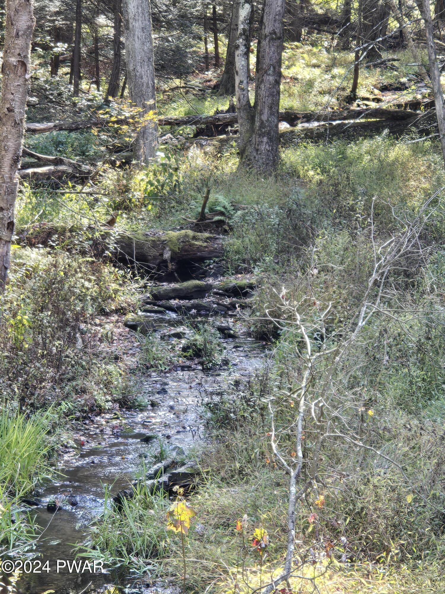 Wallace Road, Lake Ariel, Pennsylvania image 11