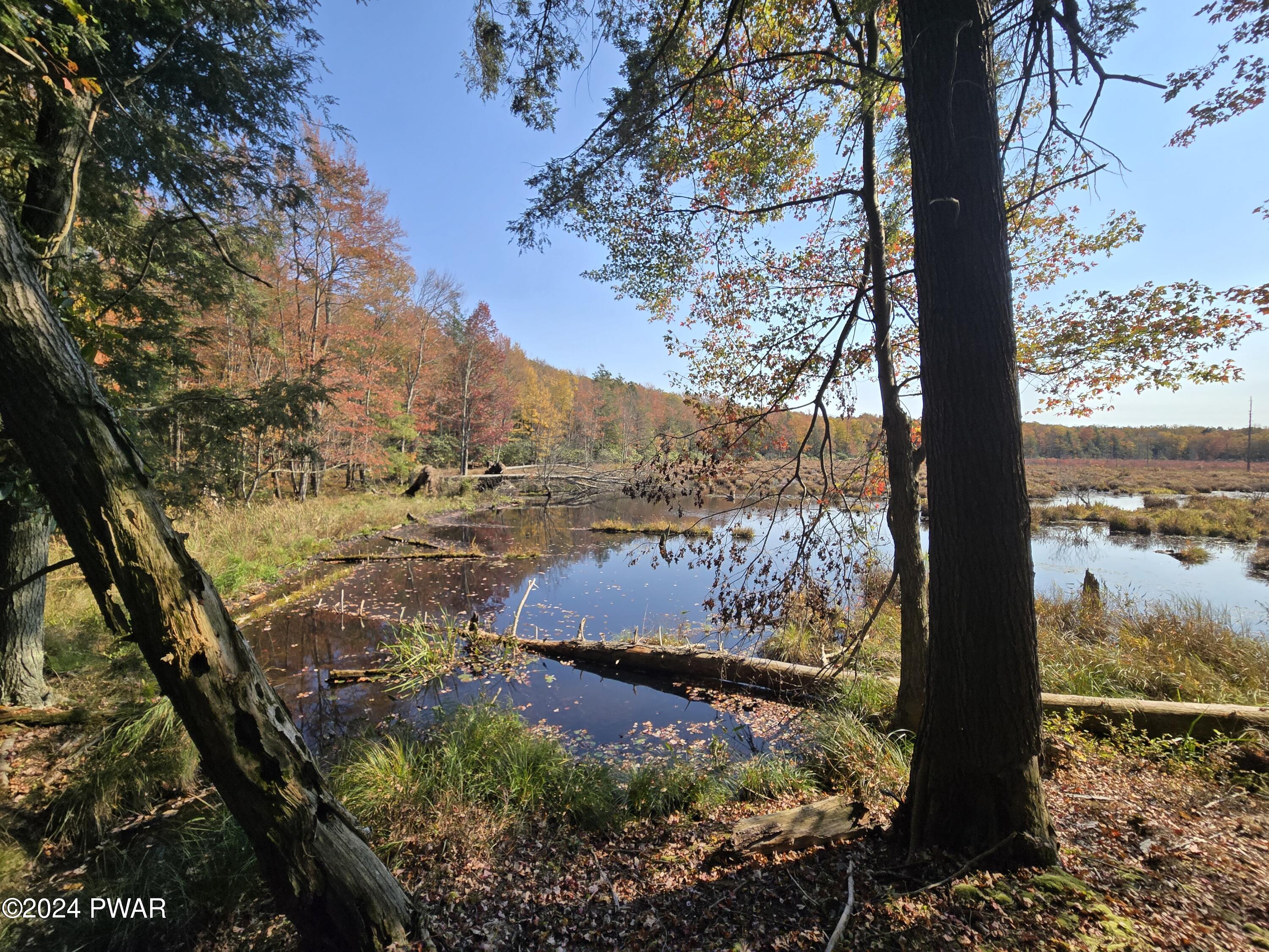 Wallace Road, Lake Ariel, Pennsylvania image 7