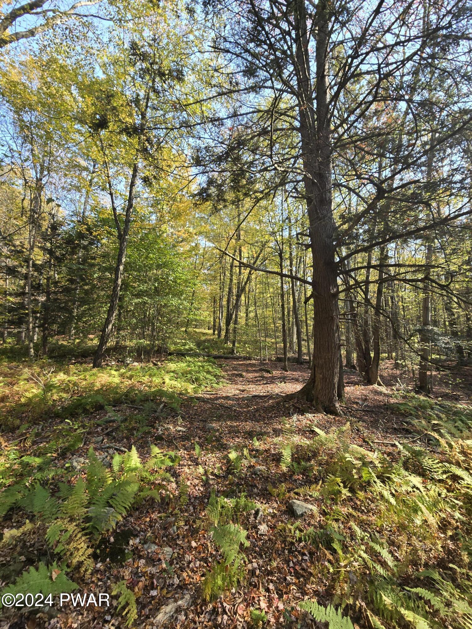 Wallace Road, Lake Ariel, Pennsylvania image 3