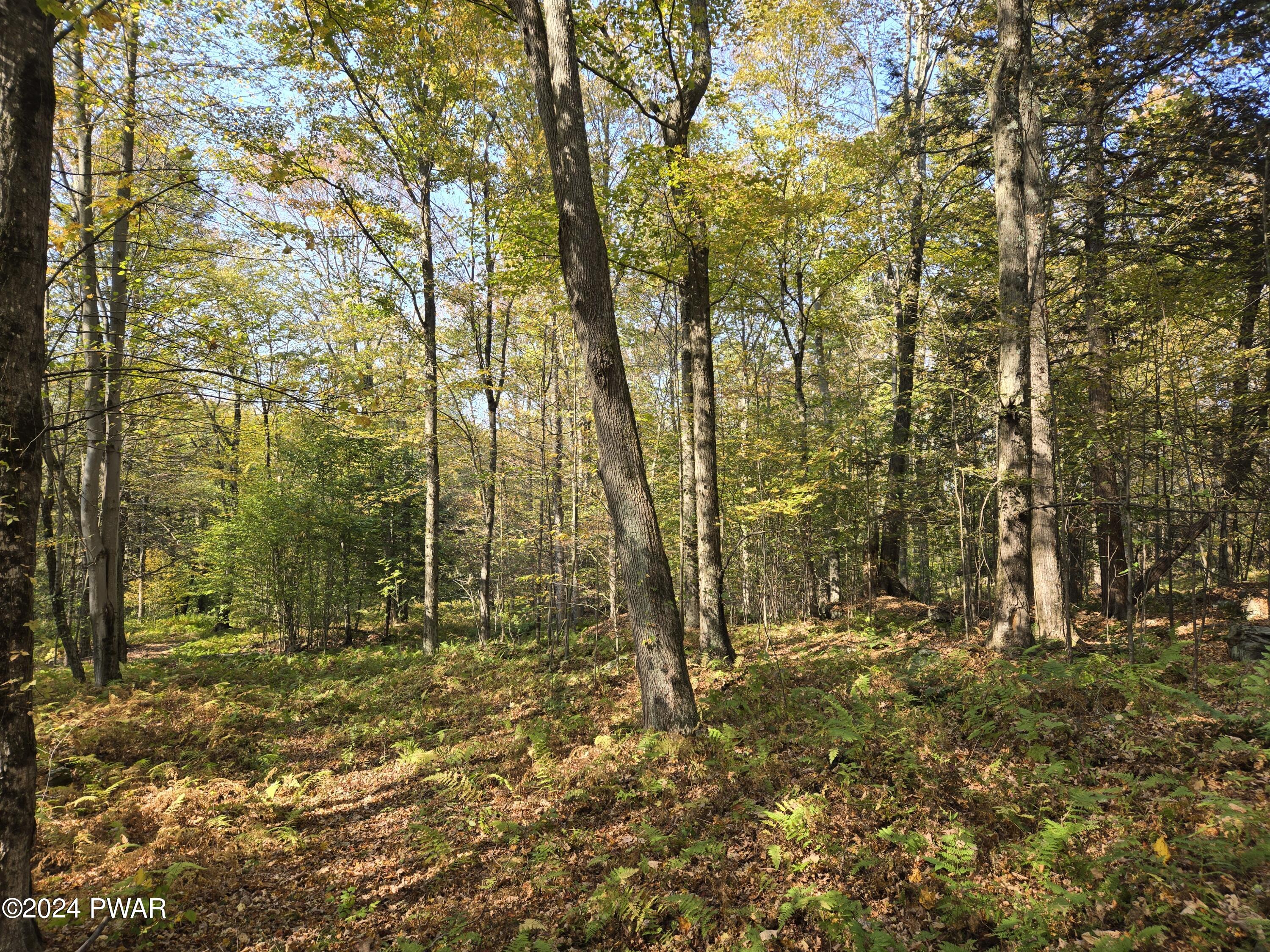 Wallace Road, Lake Ariel, Pennsylvania image 2