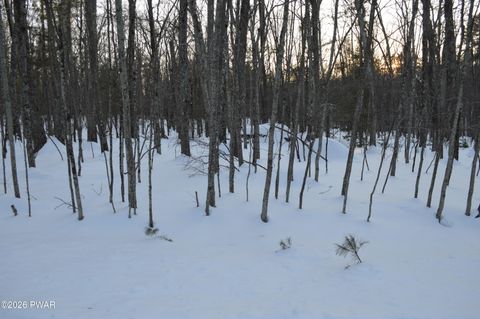 Vacant Land For Sale - Bear Paw Drive<br/> Lakeville, PA 18438