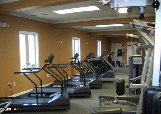 308 Parkwood Drive #242, Lake Ariel, Pennsylvania image 38