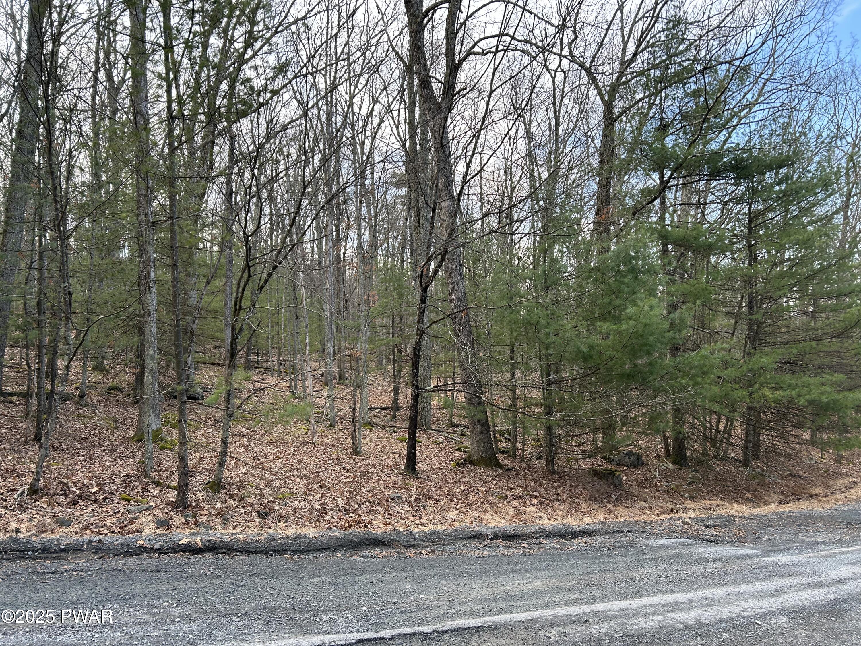 Lot 35 Ponderosa Pine, Hawley, Pennsylvania image 2