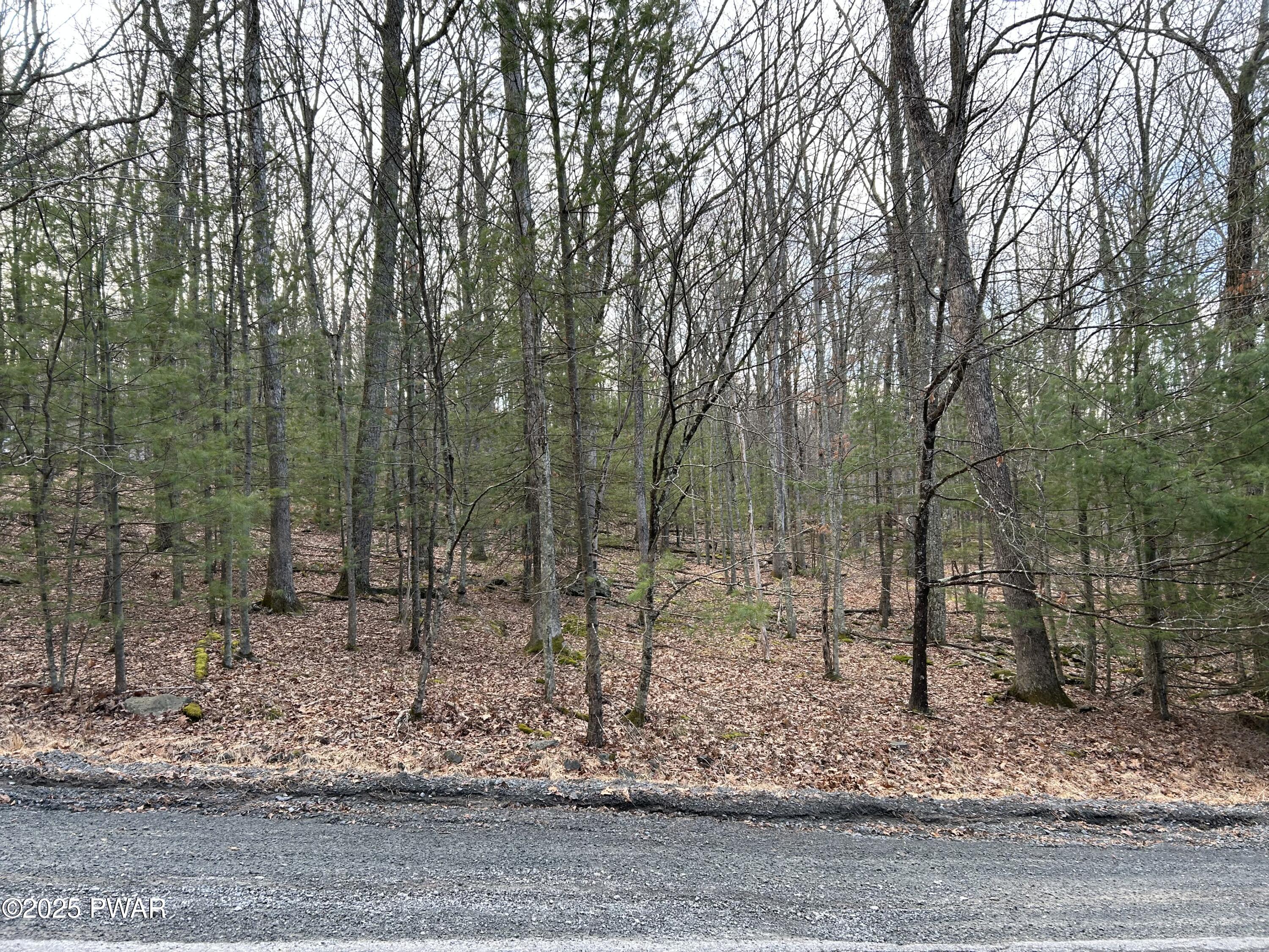 Lot 35 Ponderosa Pine, Hawley, Pennsylvania image 3