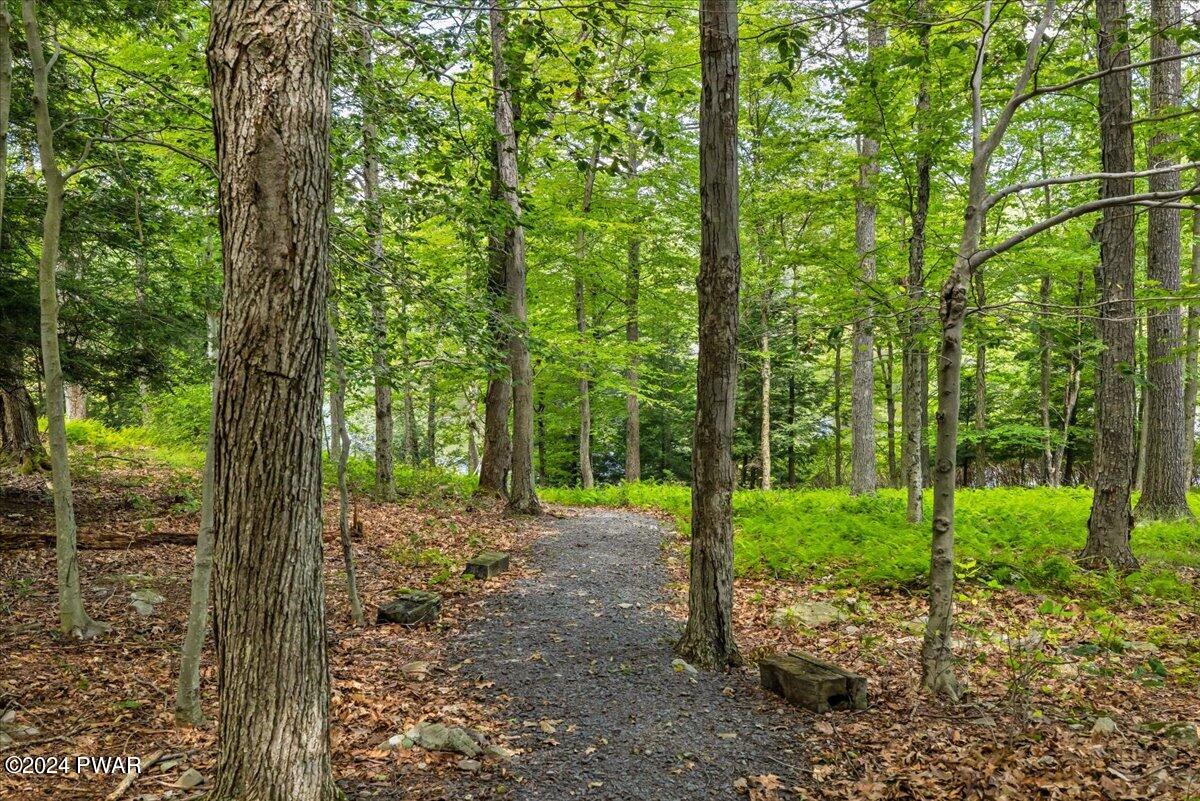 3151 Lakeview Terrace, Canadensis, Pennsylvania image 7