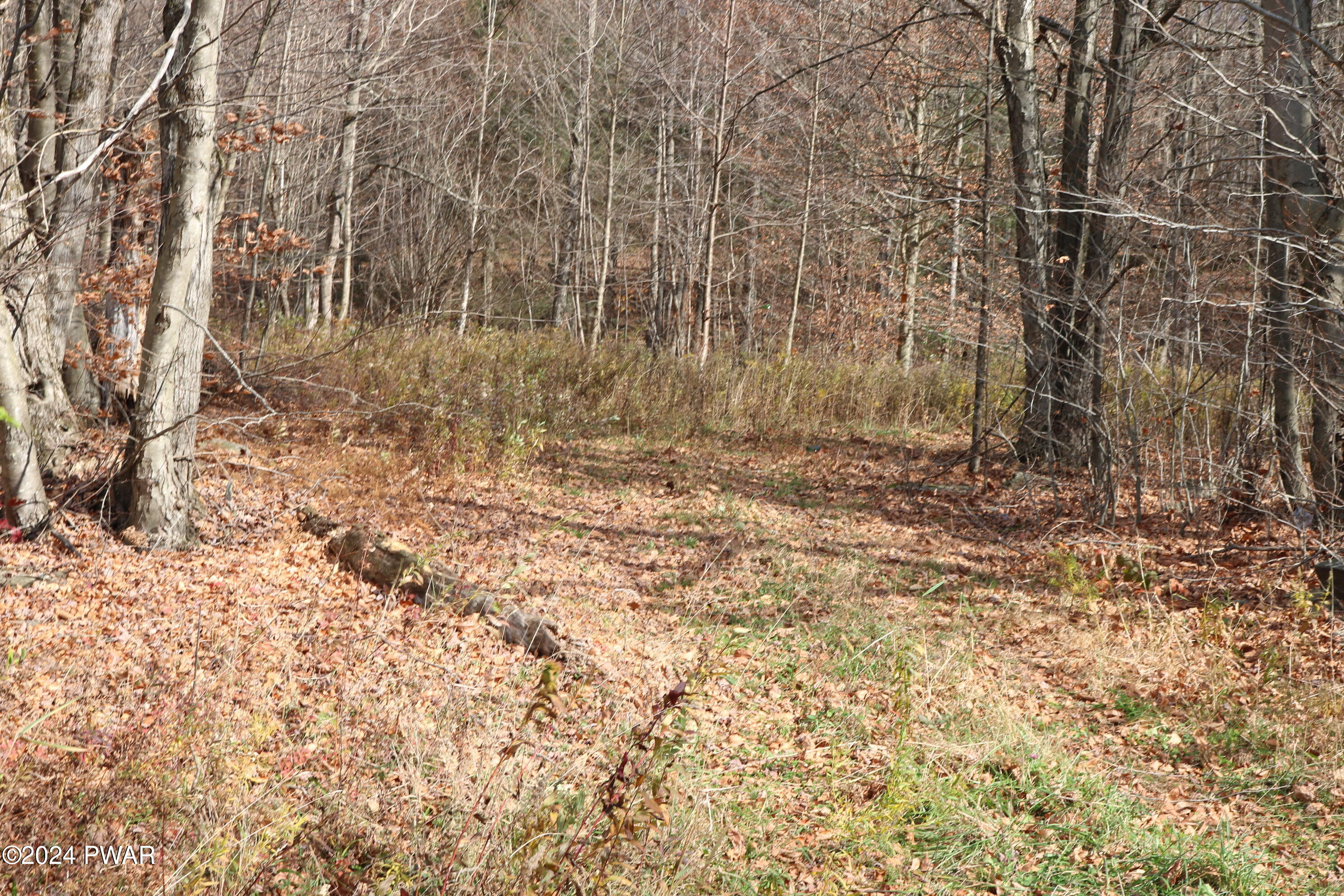 Rose Hill Road, Lake Como, Pennsylvania image 6