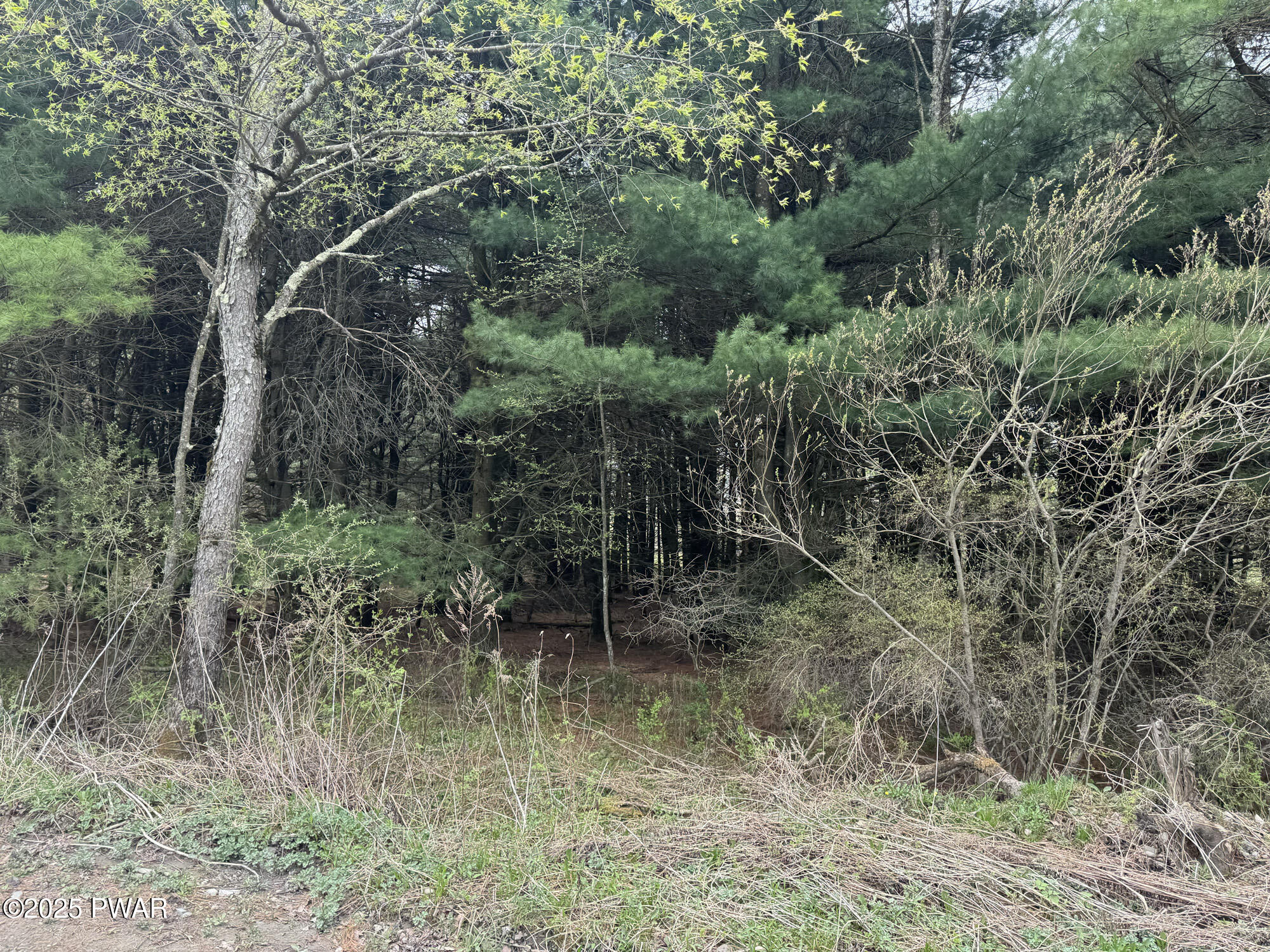 Fairmont Road, Starrucca, Pennsylvania image 5