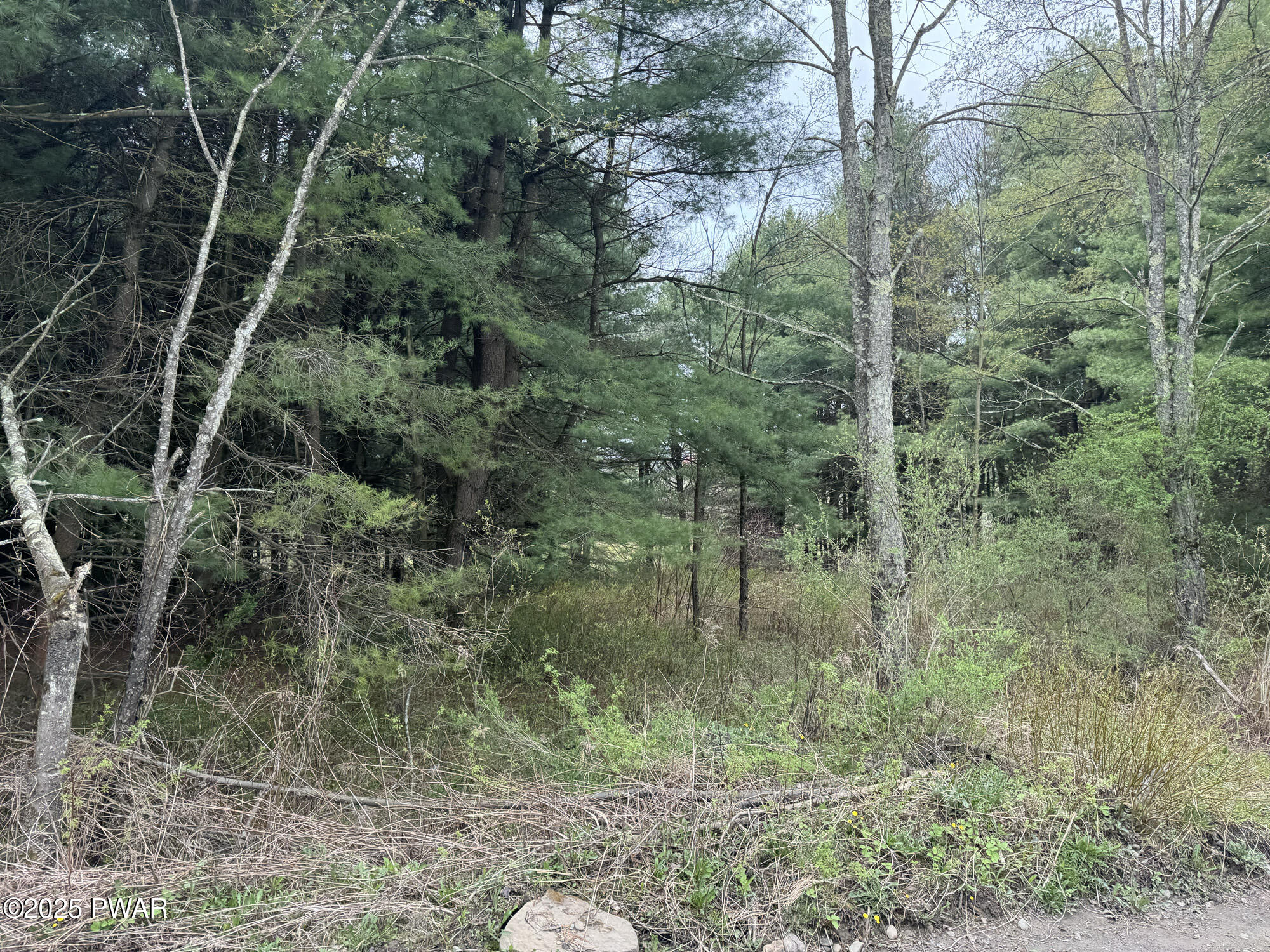 Fairmont Road, Starrucca, Pennsylvania image 6