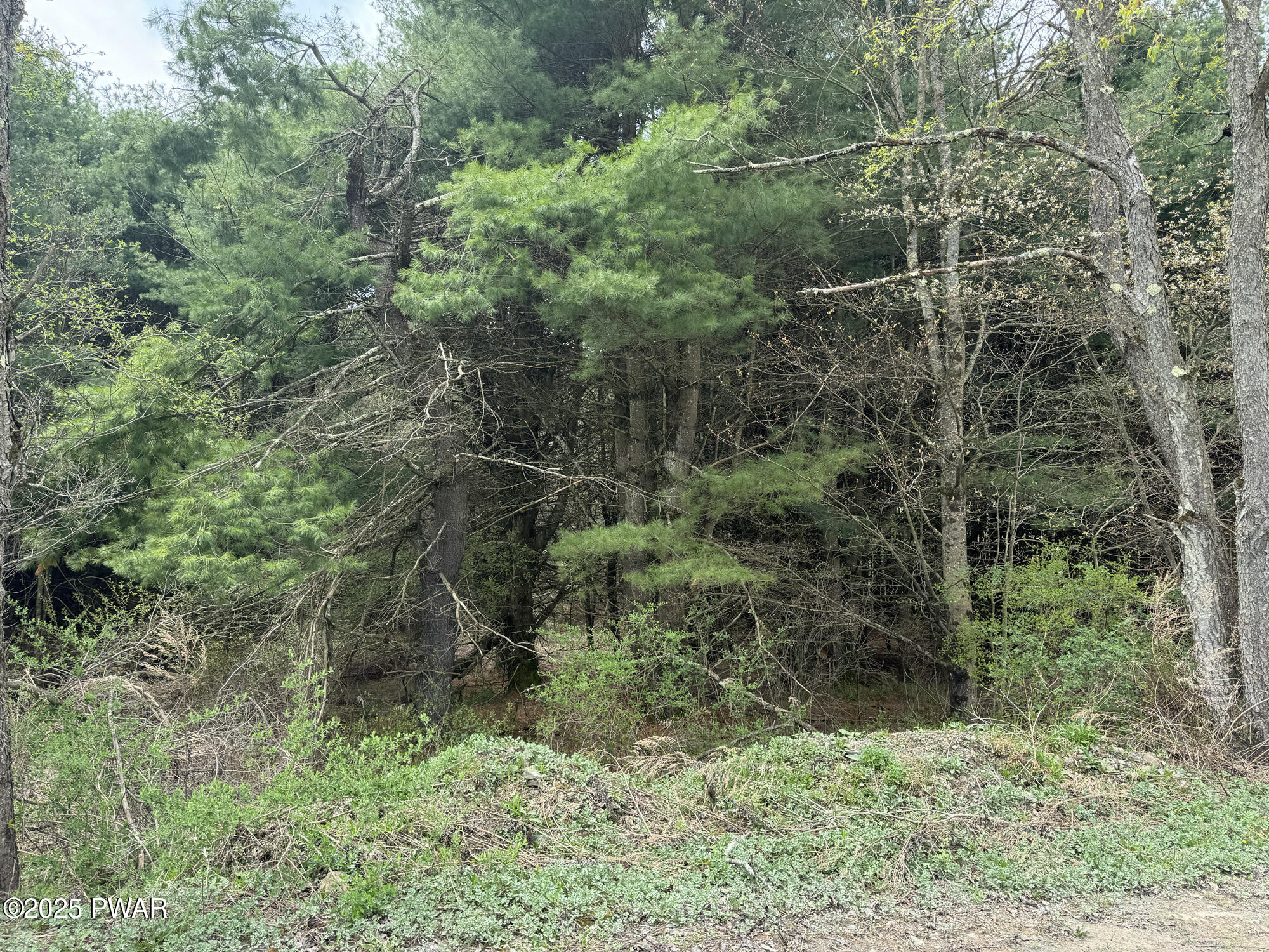 Fairmont Road, Starrucca, Pennsylvania image 2