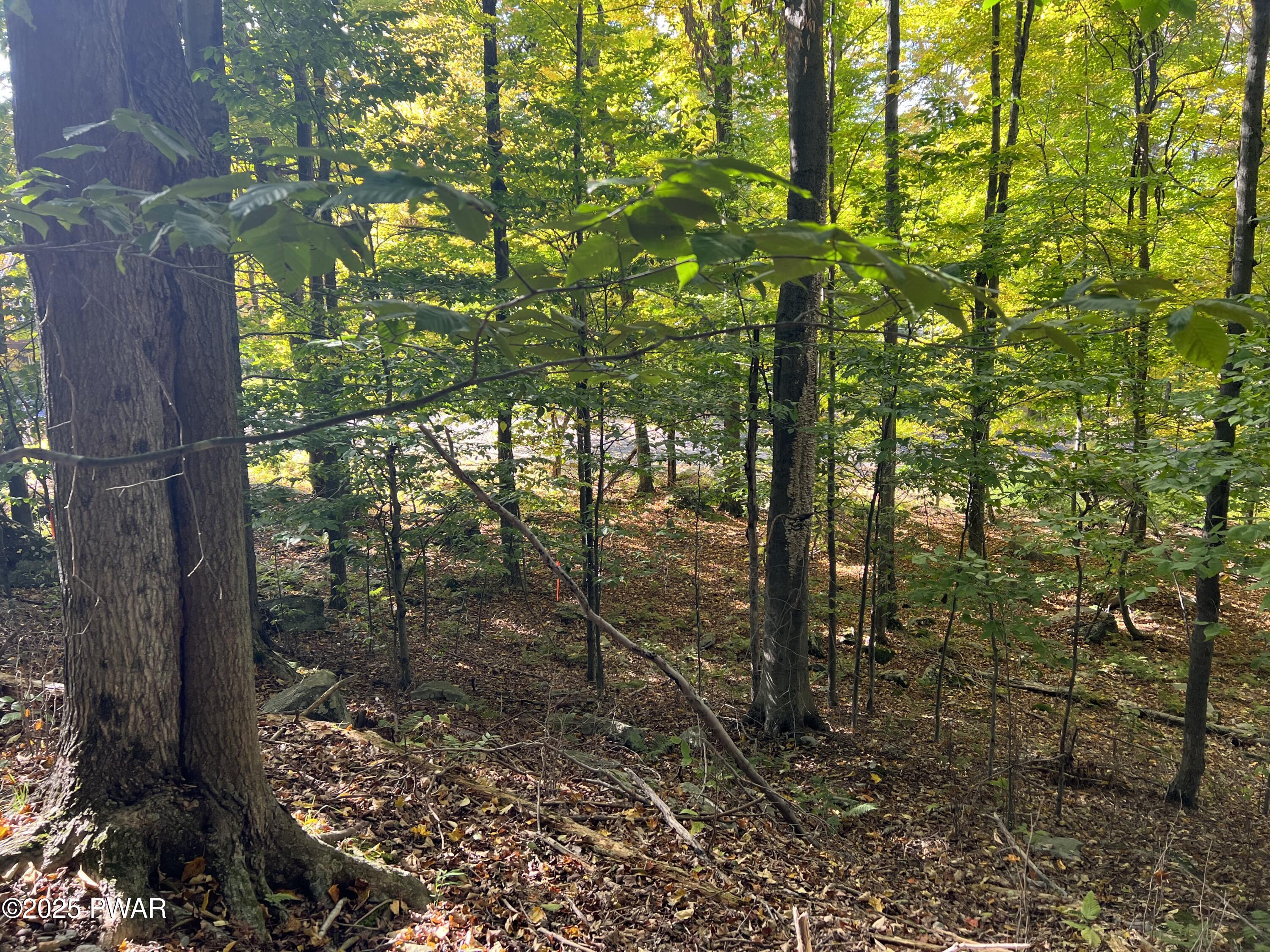 116 Falcon Crest, Greentown, Pennsylvania image 4