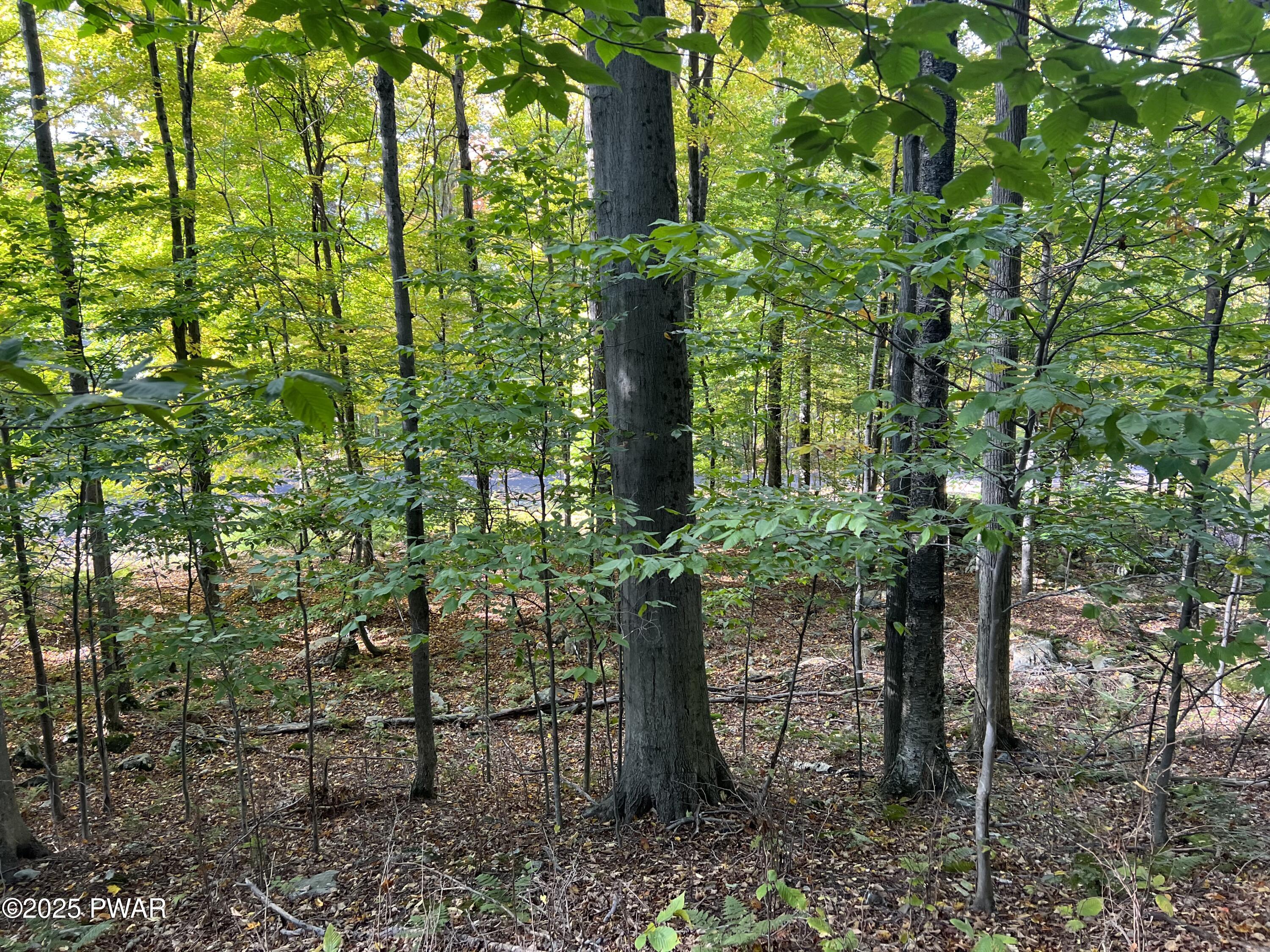 116 Falcon Crest, Greentown, Pennsylvania image 3