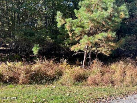 Vacant Land For Sale - LOT 250 Squirrel Road<br/> Dingmans Ferry, PA 18328