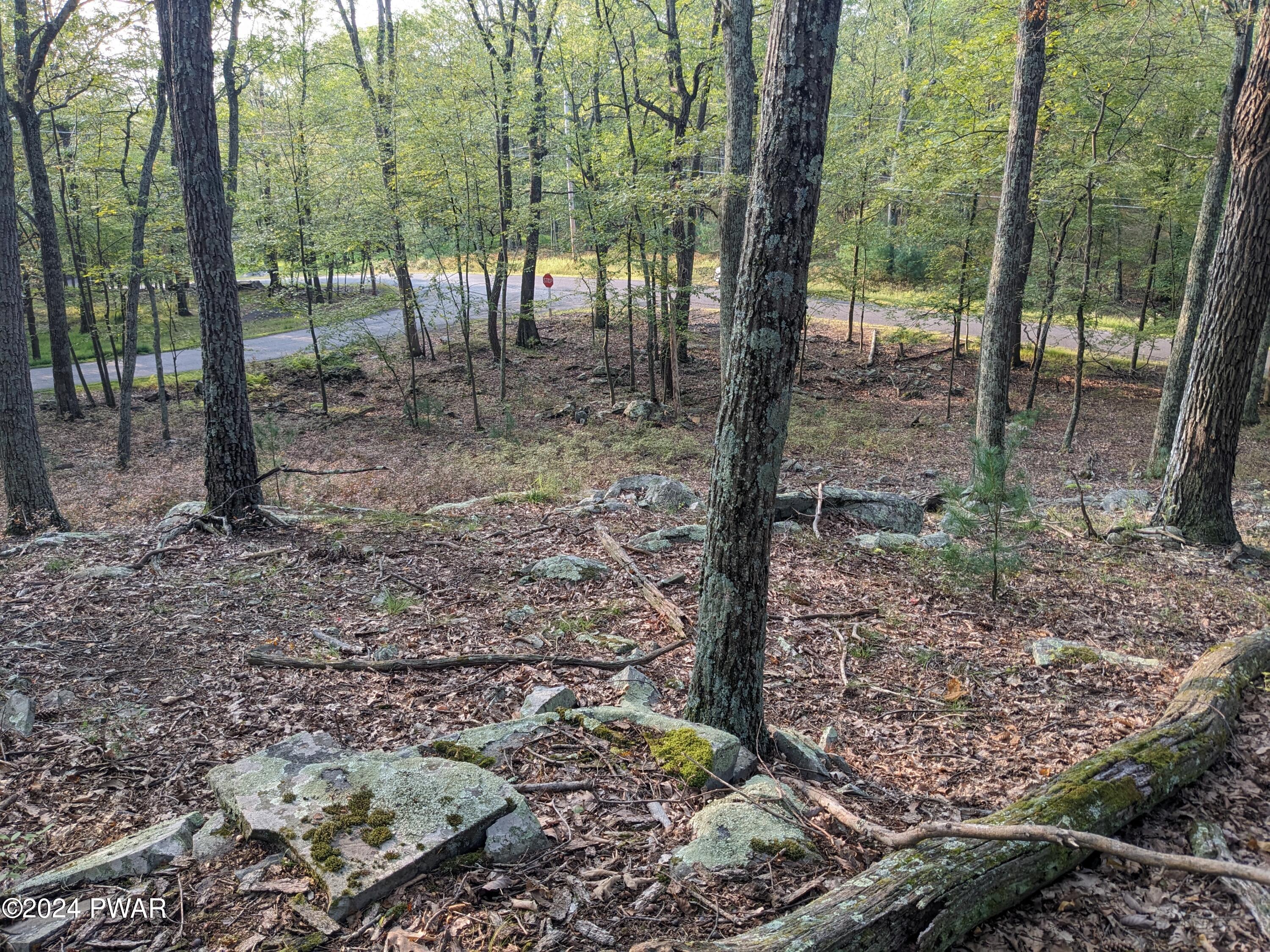 Lot 1 Apple Tree Dr & Hillcrest Dr, Dingmans Ferry, Pennsylvania image 6