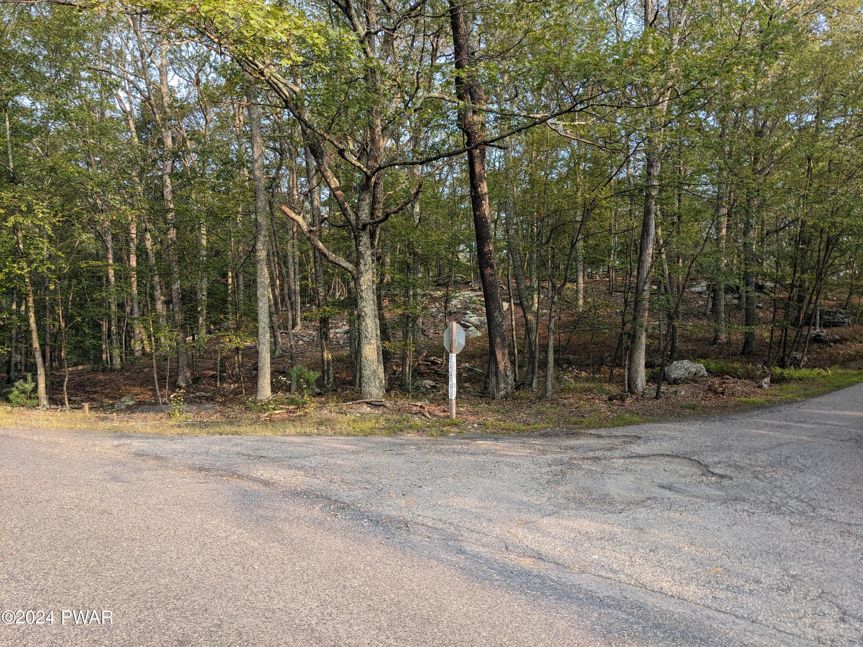 Lot 1 Apple Tree Dr & Hillcrest Dr, Dingmans Ferry, Pennsylvania image 3