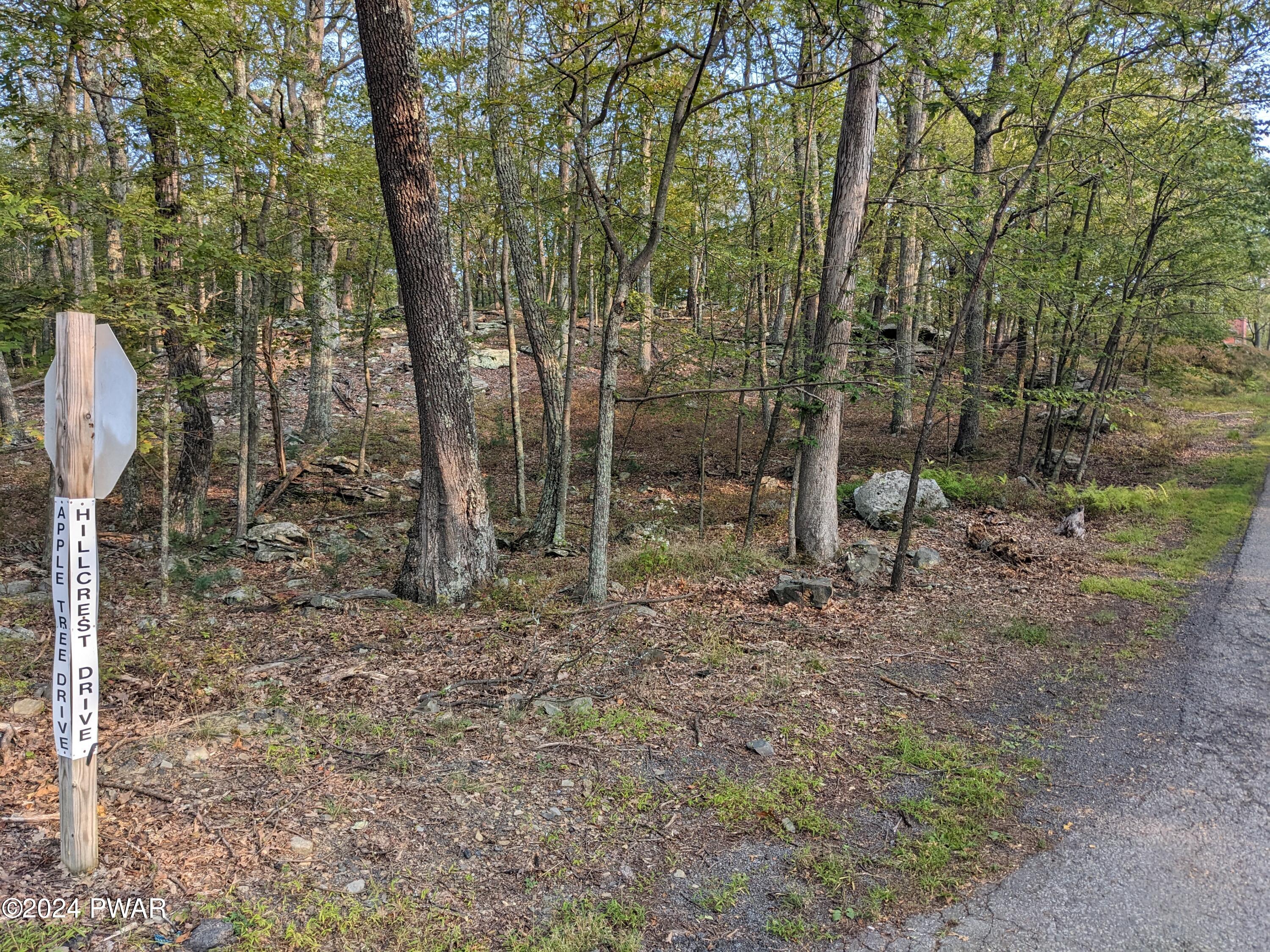 Lot 1 Apple Tree Dr & Hillcrest Dr, Dingmans Ferry, Pennsylvania image 4