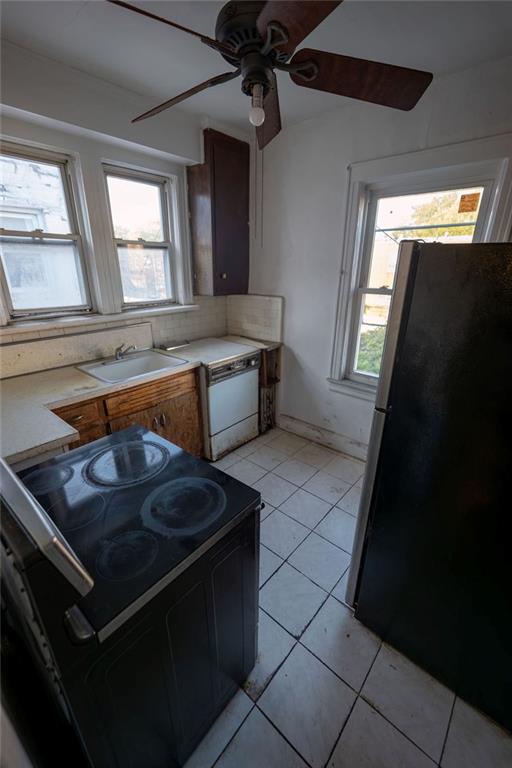 Brooklyn, New York 11236, United States, ,2 BathroomsBathrooms,Residential,Active,183009