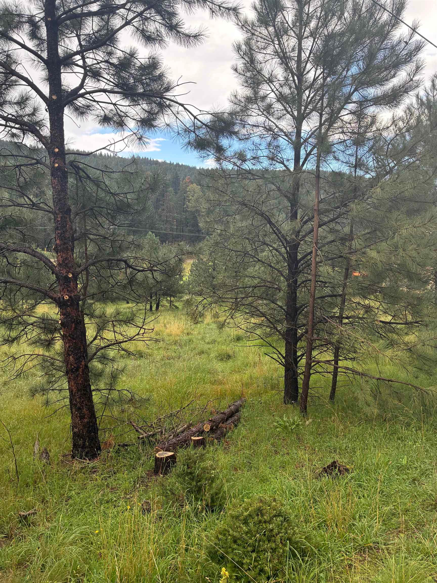 Trading Post Rd