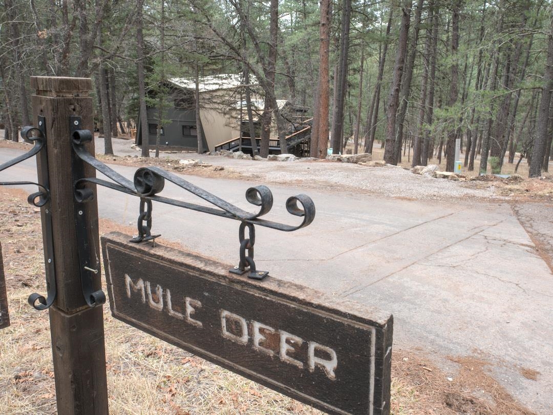 9 Mule Deer