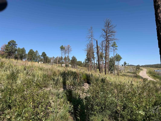 PAWHUSKA DR, TIMBERON, NM 88350 - Image 3c4e7bcaf4925e6f29ea8cce359fb508/3442289125
