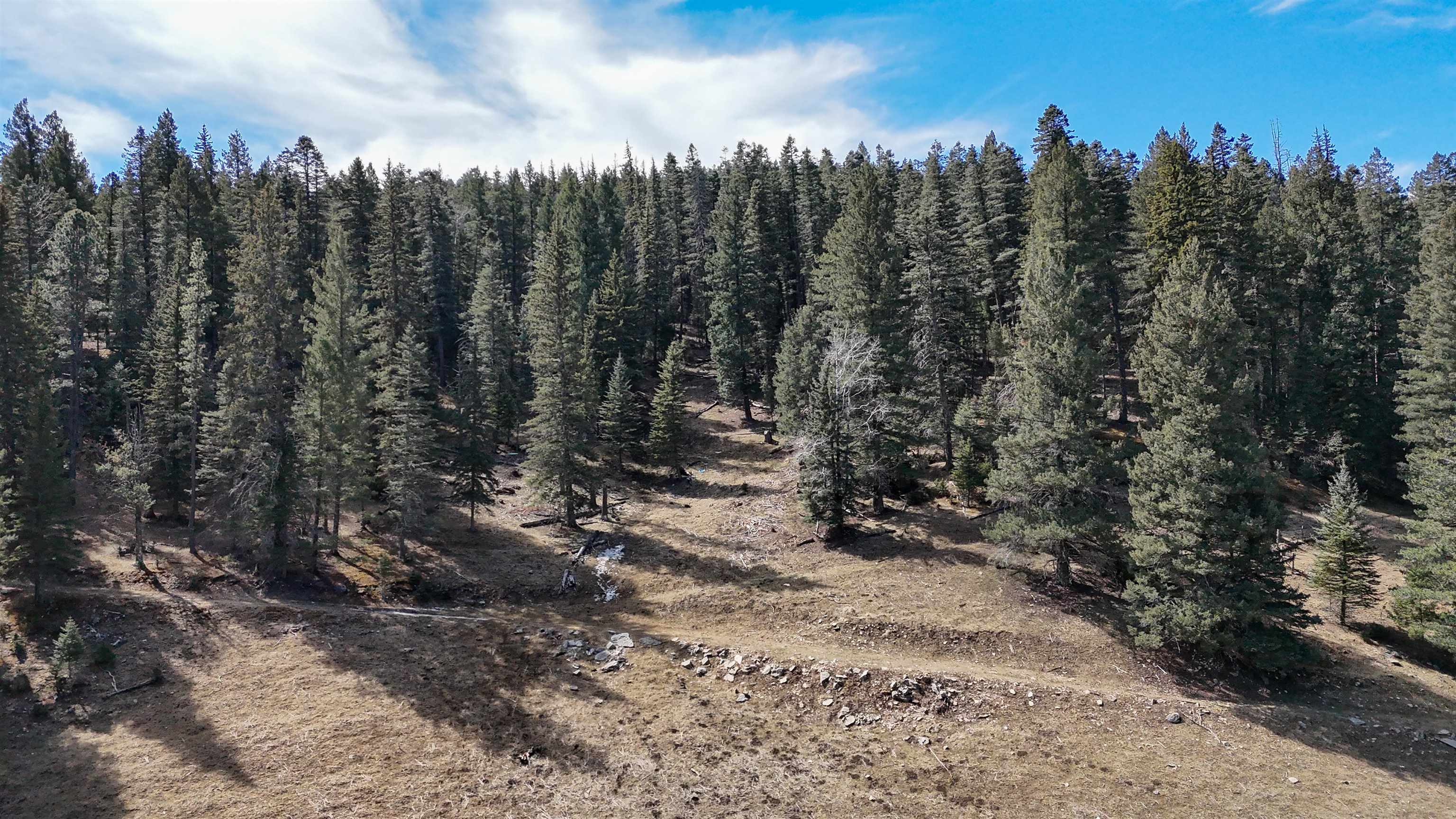602 Cox Canyon Hwy