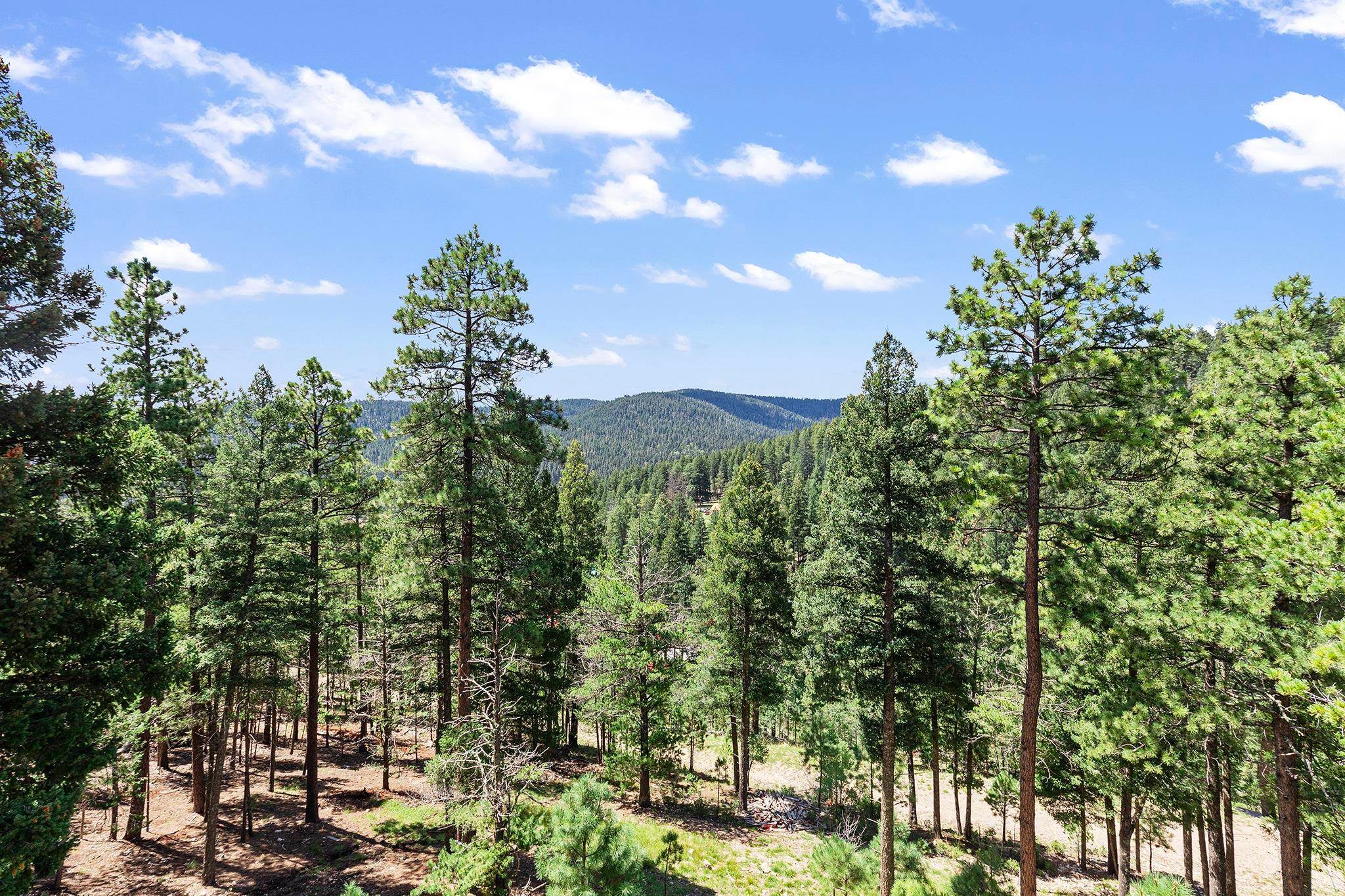 18 Forest View Rd