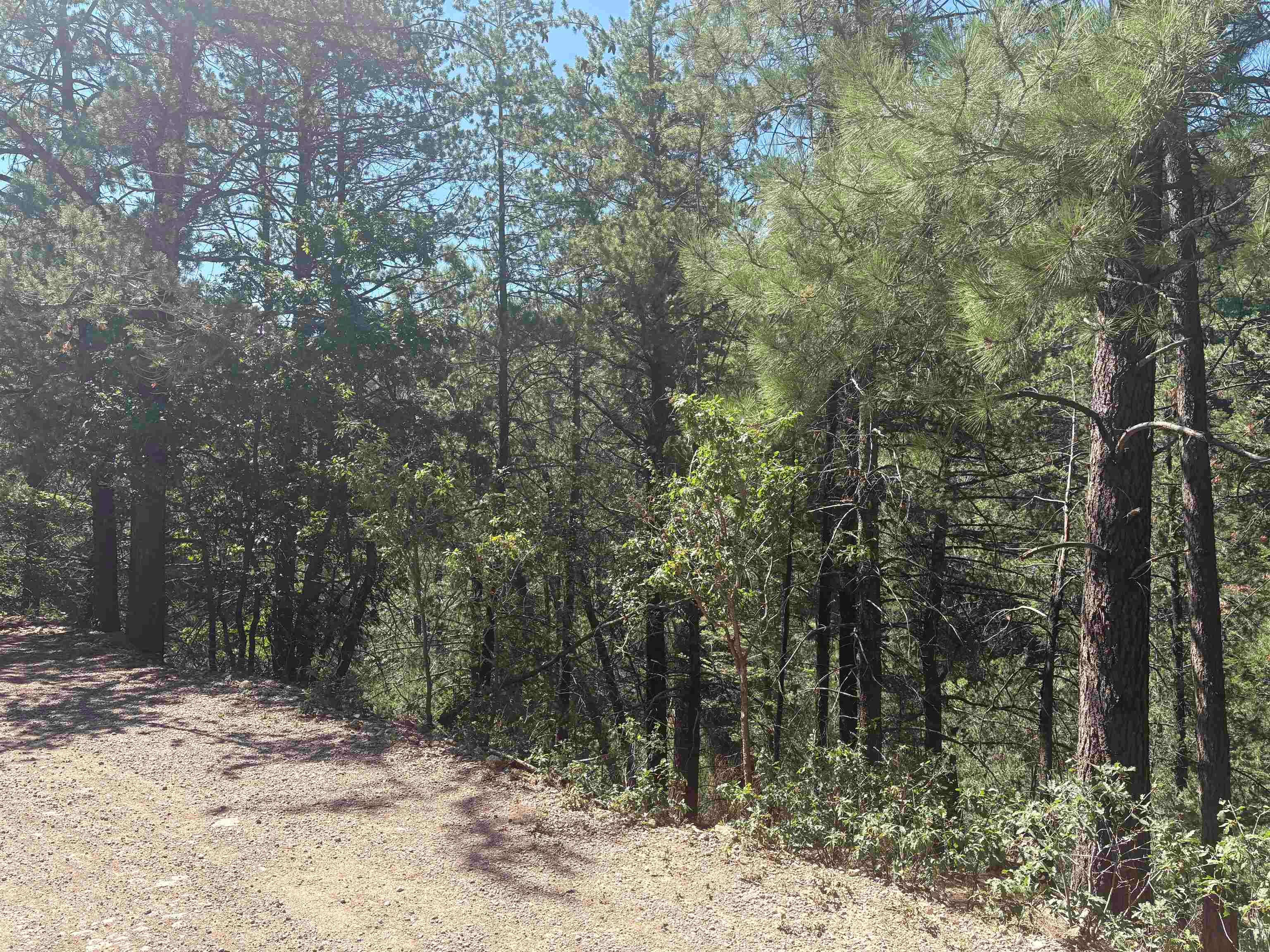 Running Deer Trl