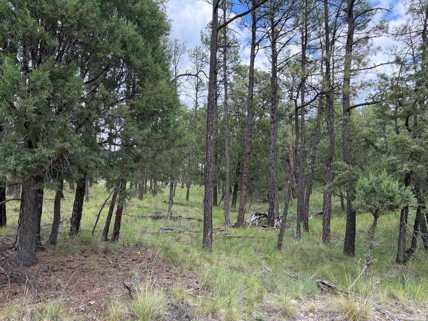 Gunnison Way