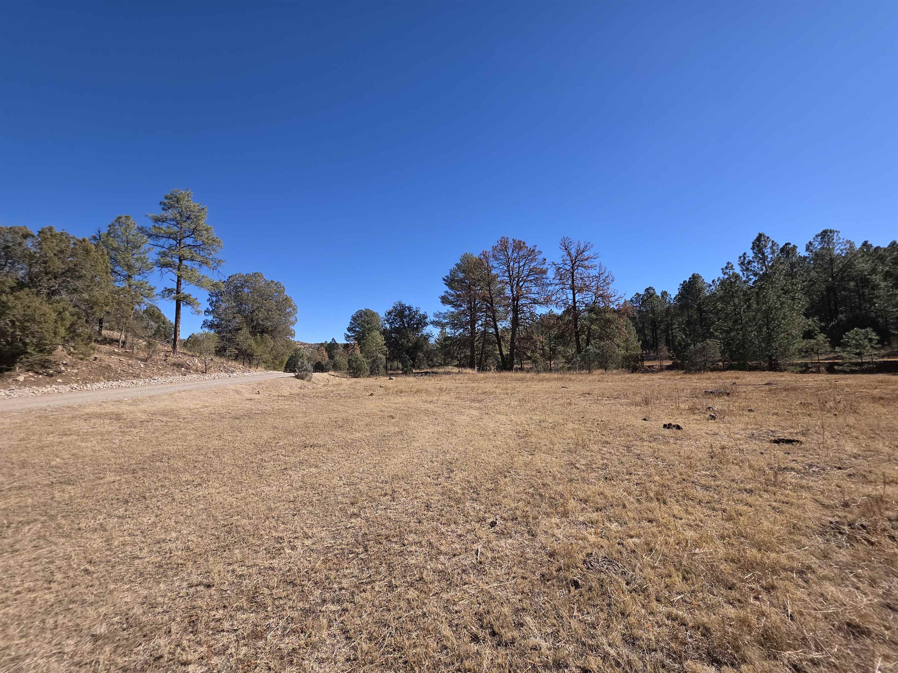51 Perk Canyon Rd