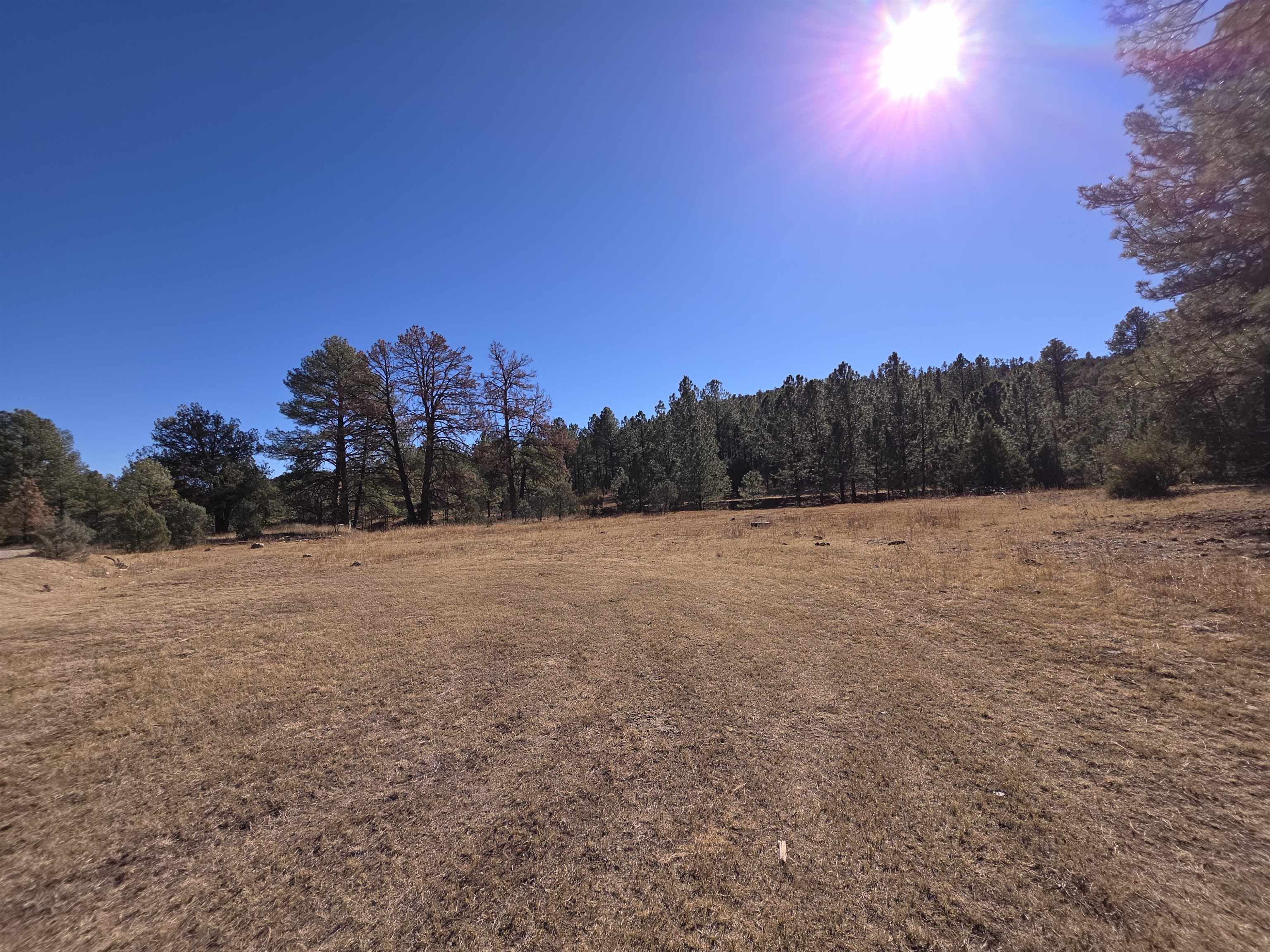 51 Perk Canyon Rd