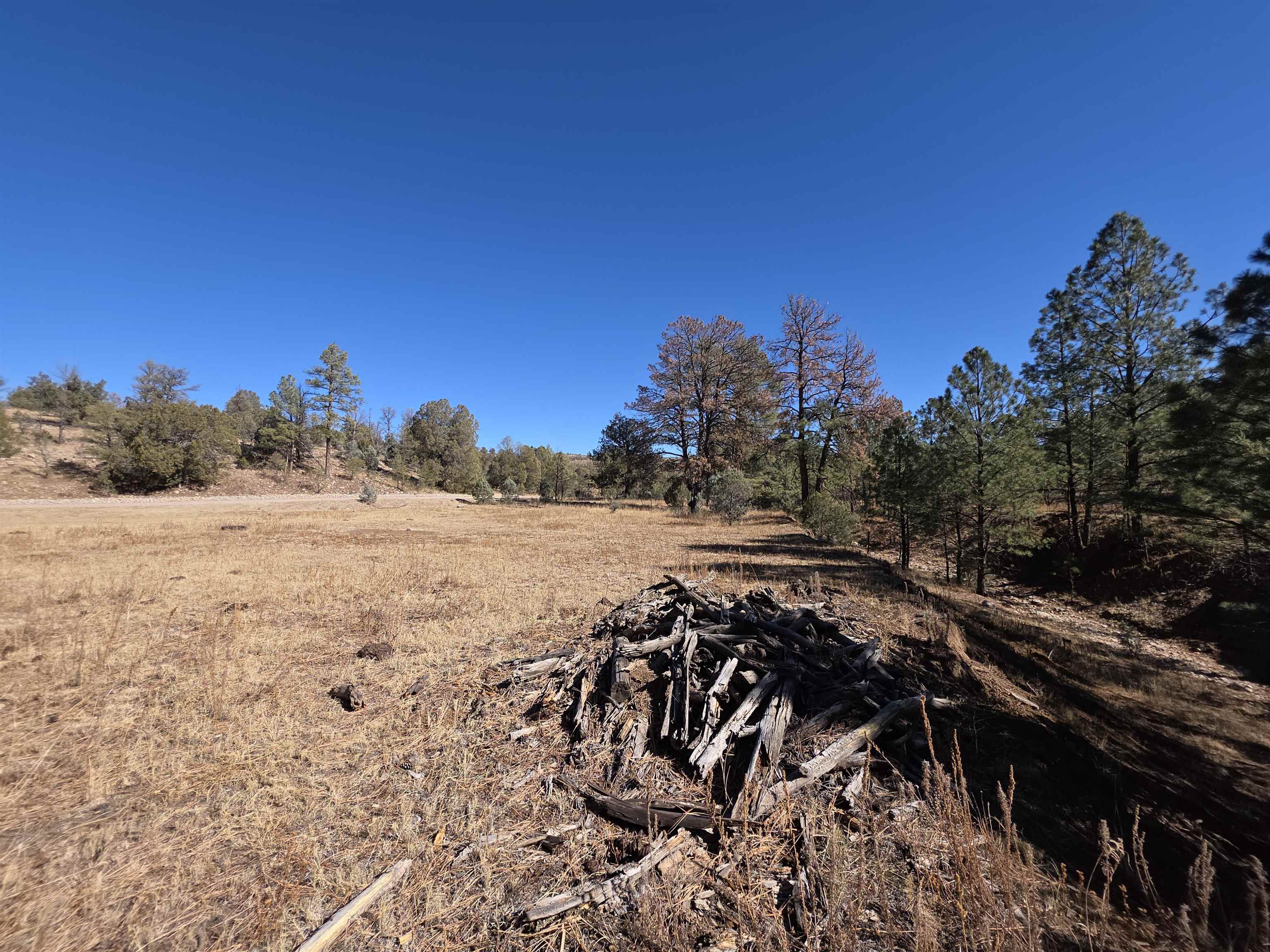 51 Perk Canyon Rd