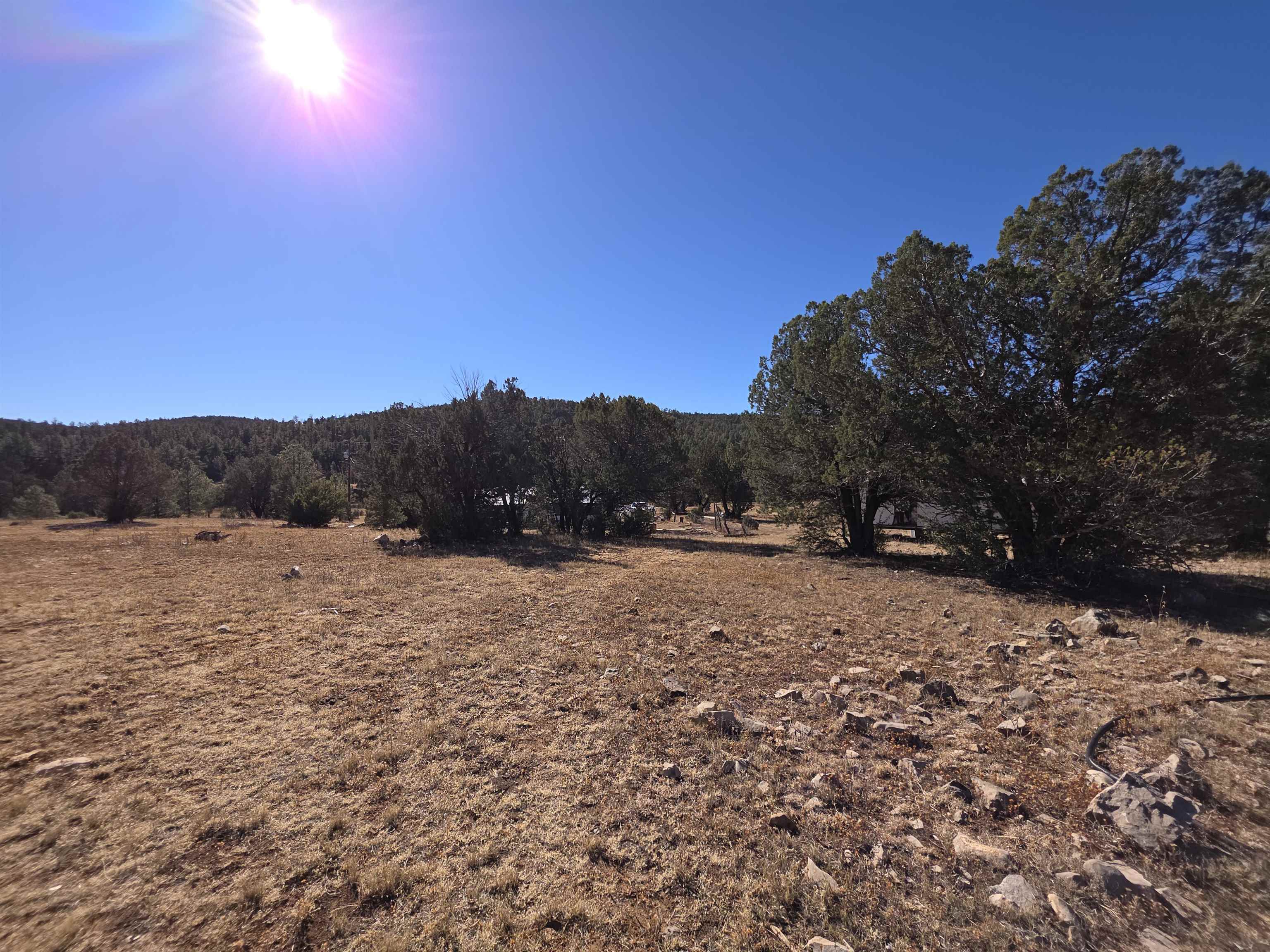 51 Perk Canyon Rd