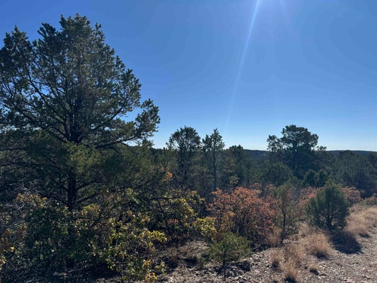 WILDE ST, TIMBERON, NM 88350 - Image b209dc69bafcd0f7caf2be71efc0645e/2825845088
